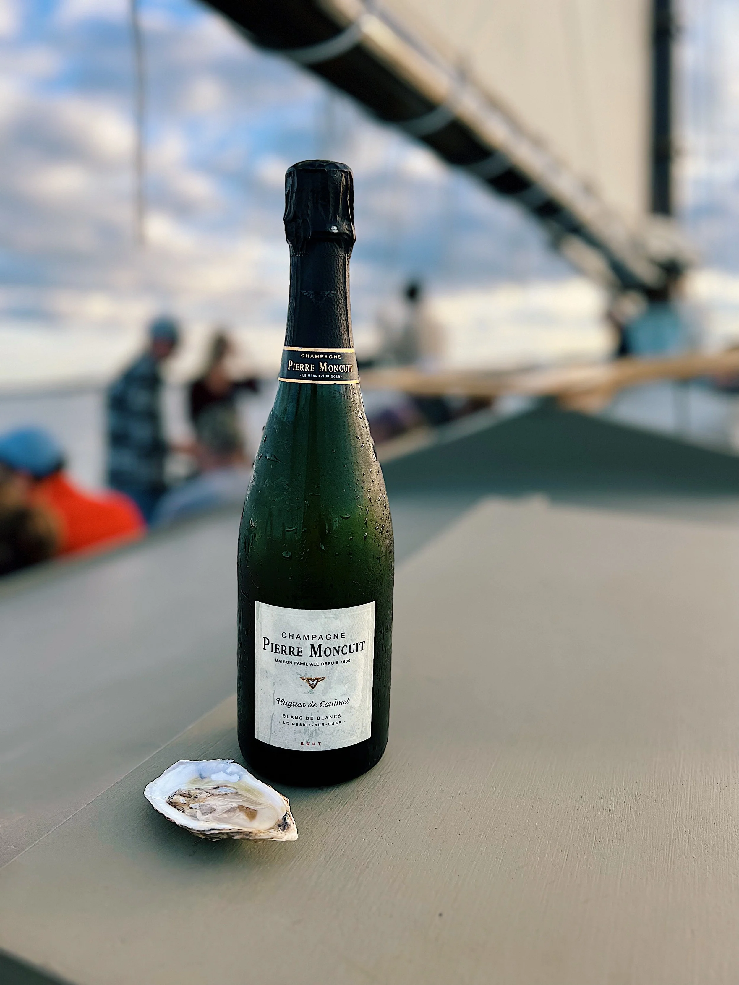 2024 Wine &amp; Oyster Sails