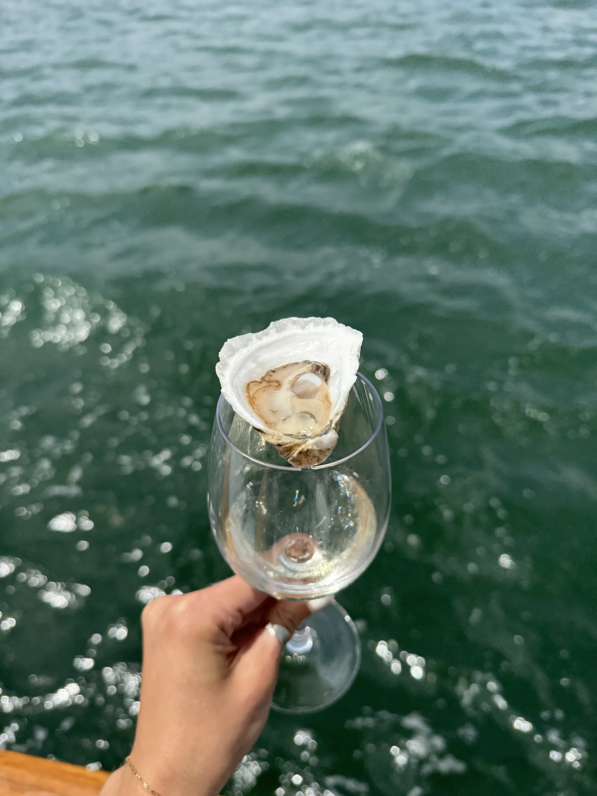 Wine &amp; Oyster Sails 2025 Schedule