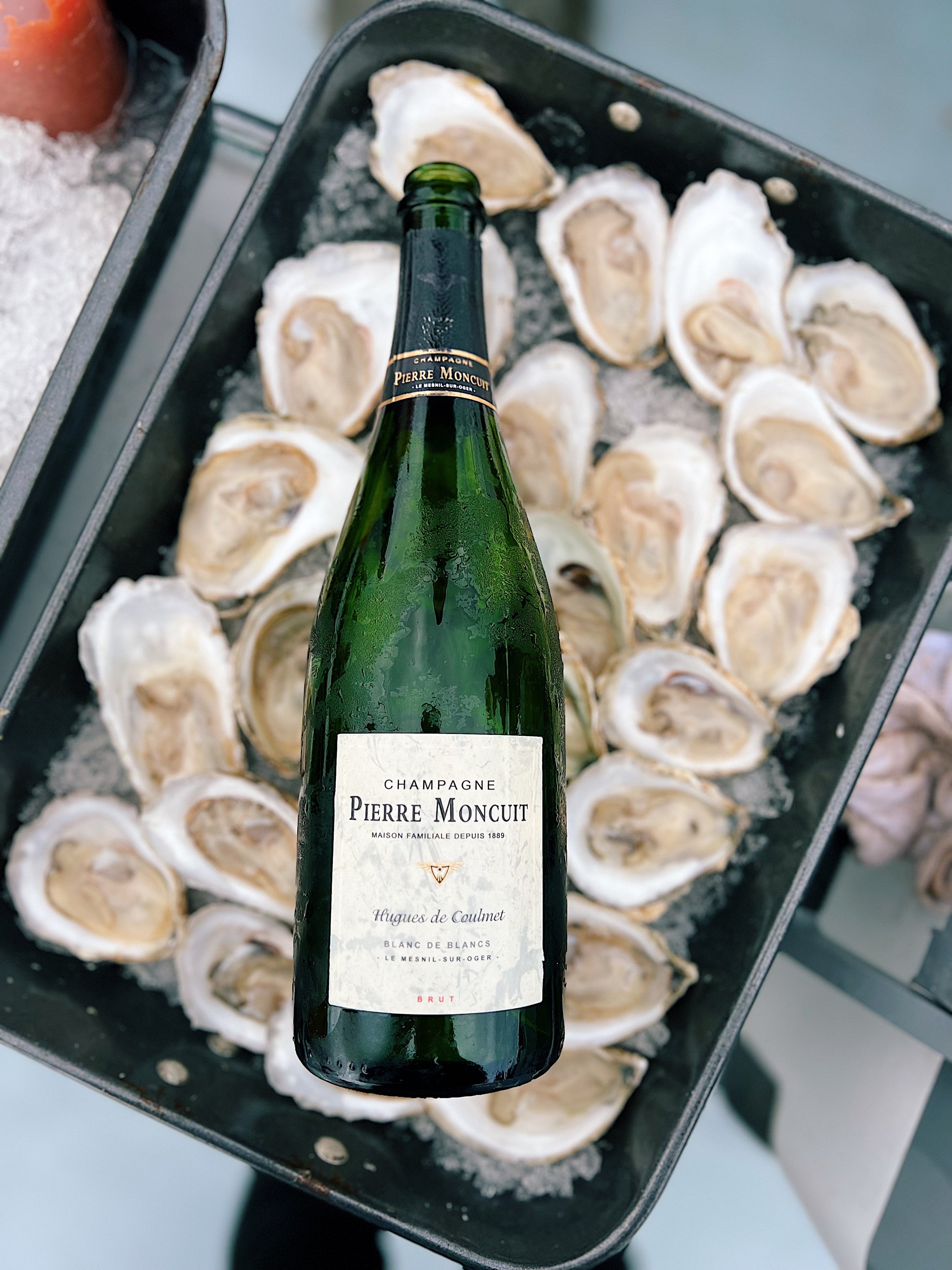 wine_wise_sail_Portland_Maine_oyster_oysters__champagne.jpg