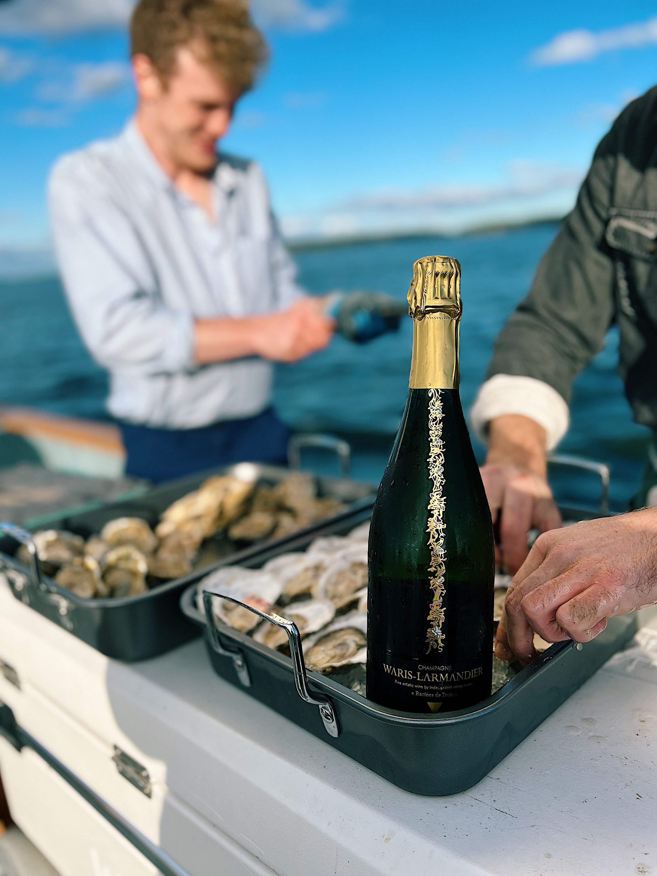 wine_wise_Portland_Maine_oyster_.jpg