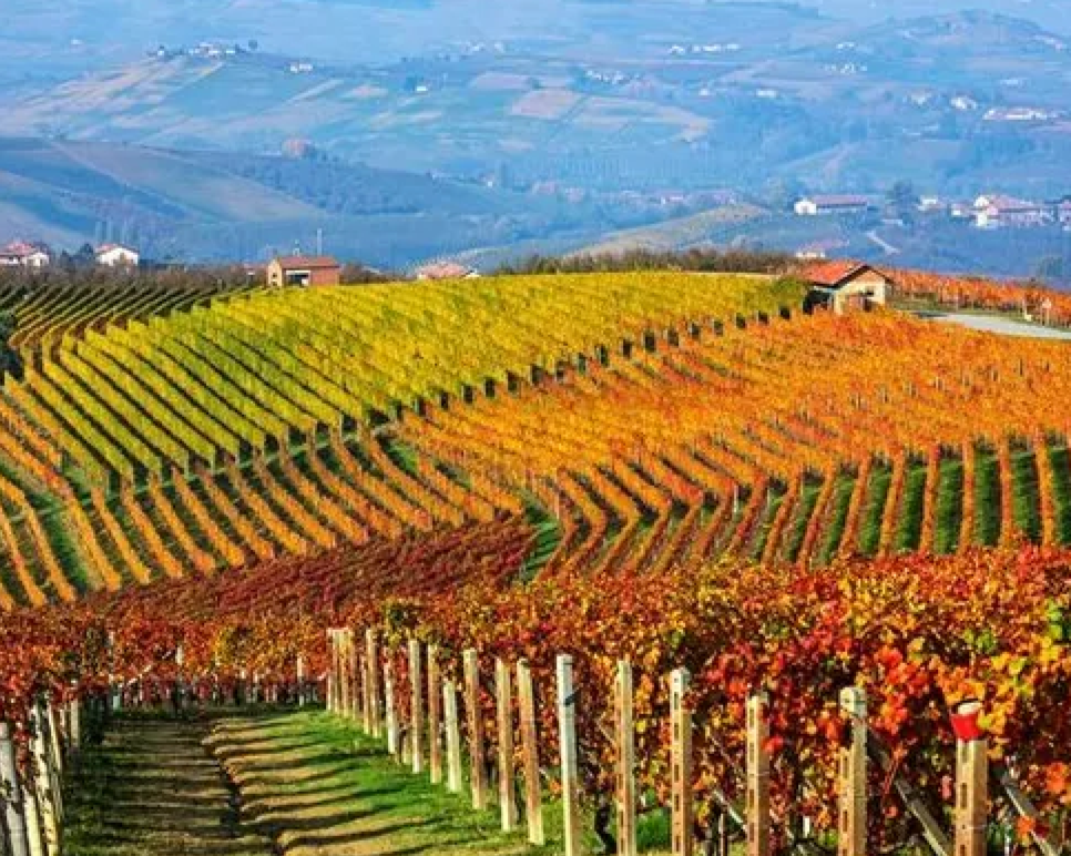 Wine Wise Trip To Piedmont, Italy & Lake Garda