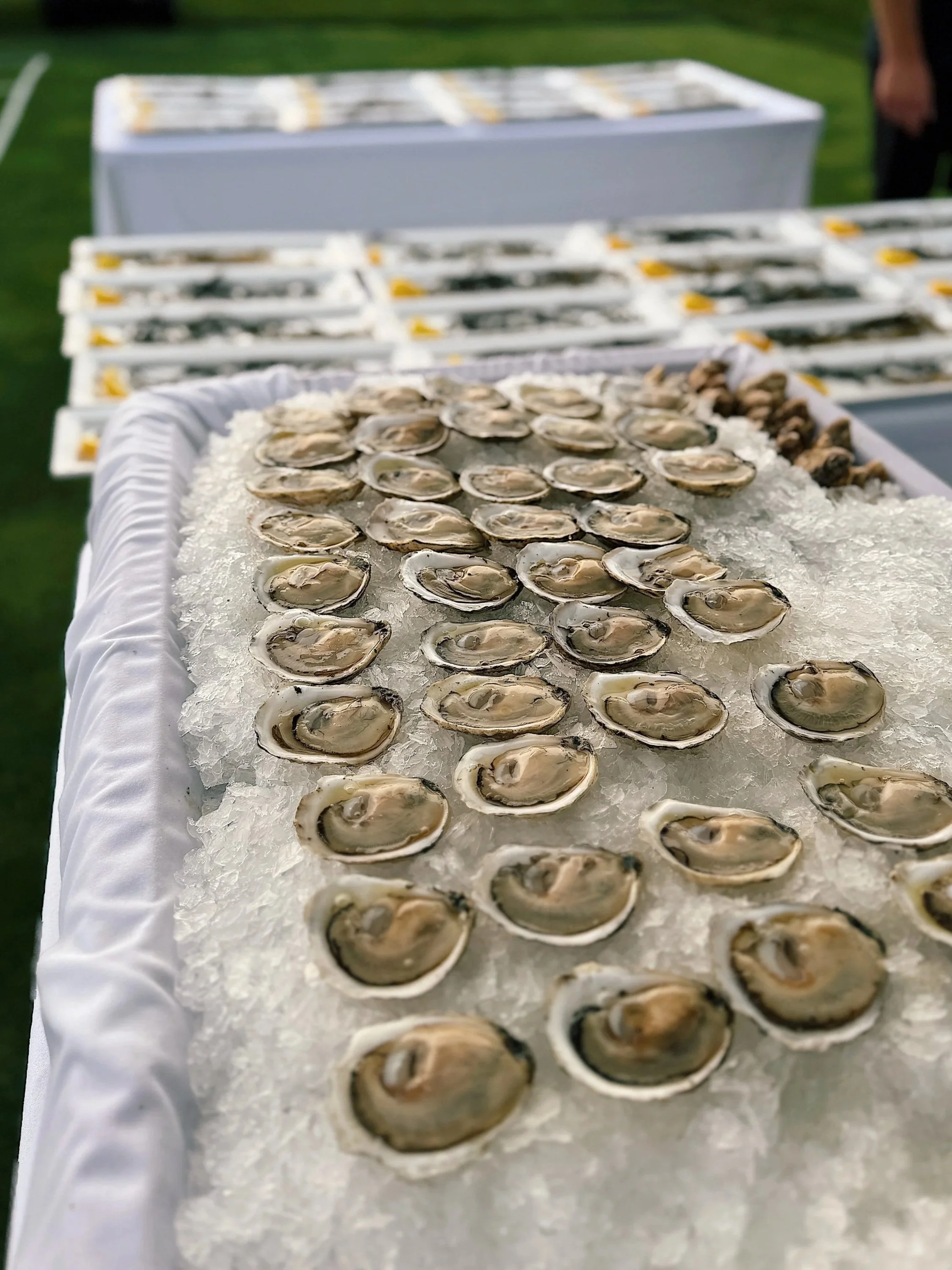 Private Wine &amp; Oyster Tasting