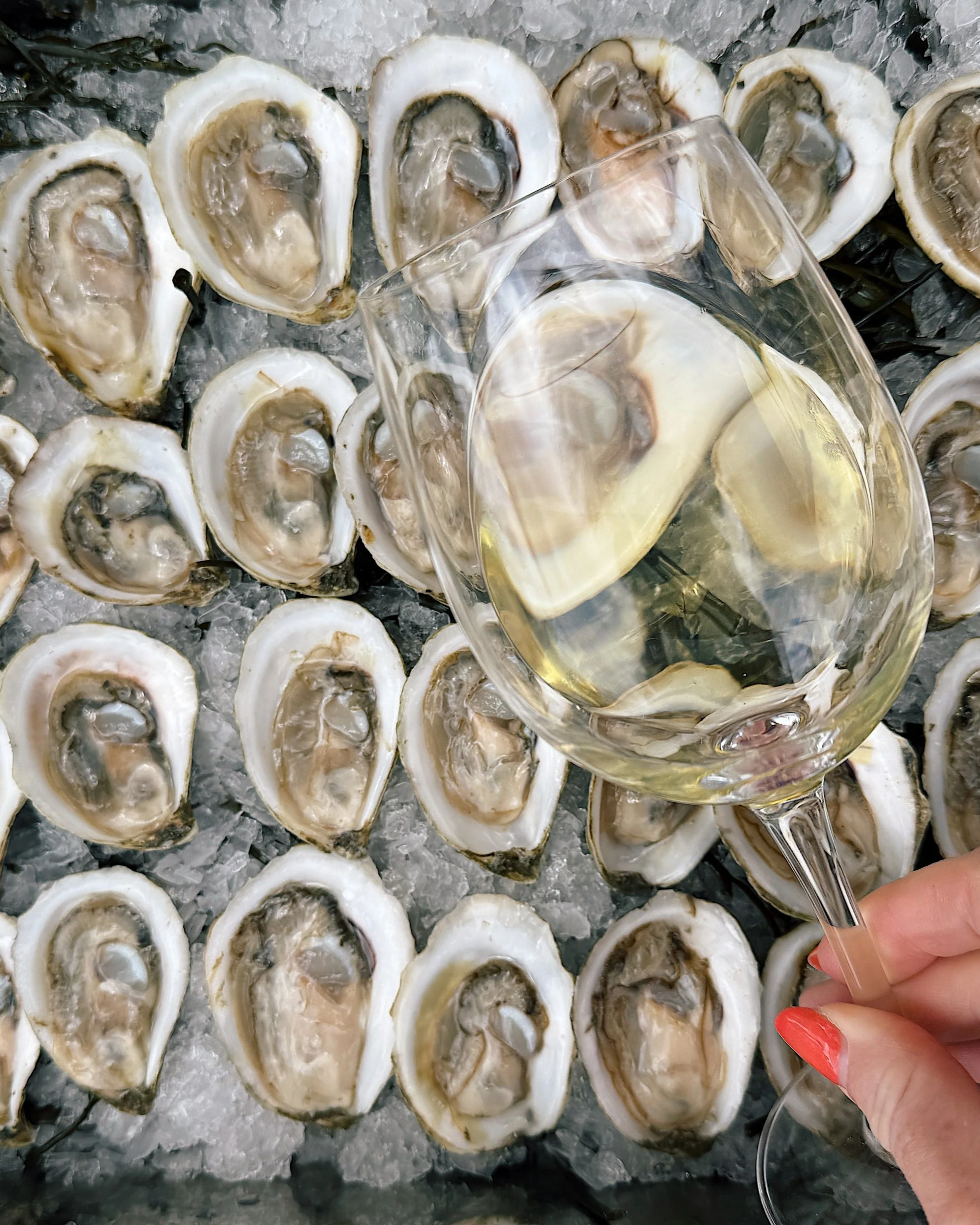 Fine Wine & Maine Oyster Cruise in Fort Lauderdale