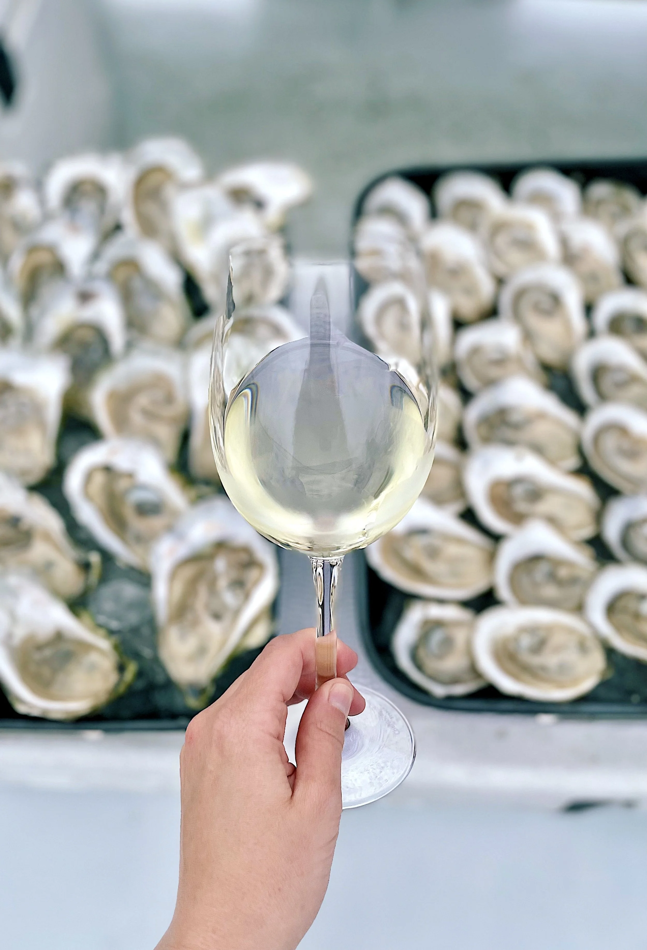 Fine Wine &amp; Maine Oyster Cruise in Fort Lauderdale