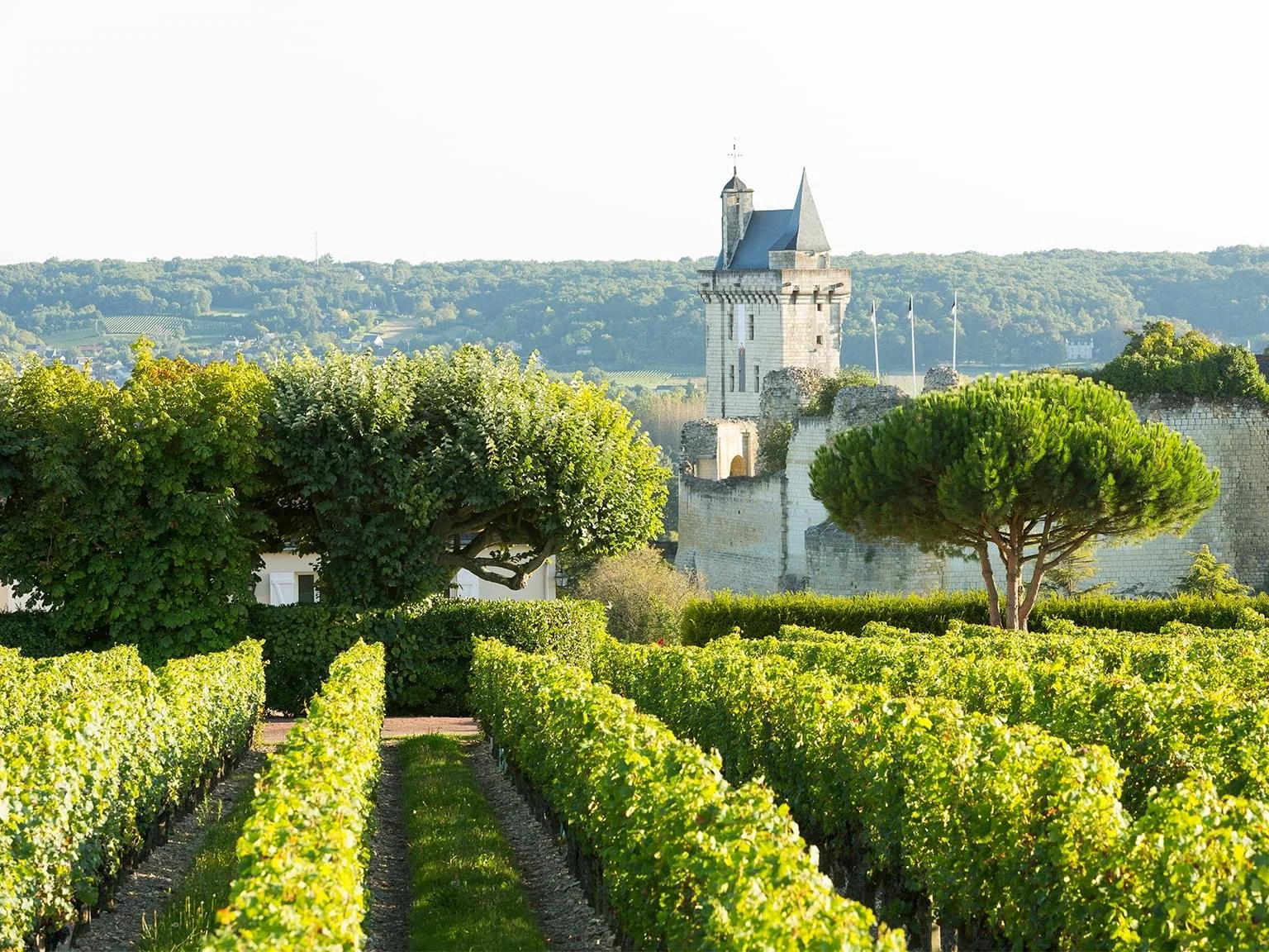 Small Group Trip to The Loire Valley + Champagne