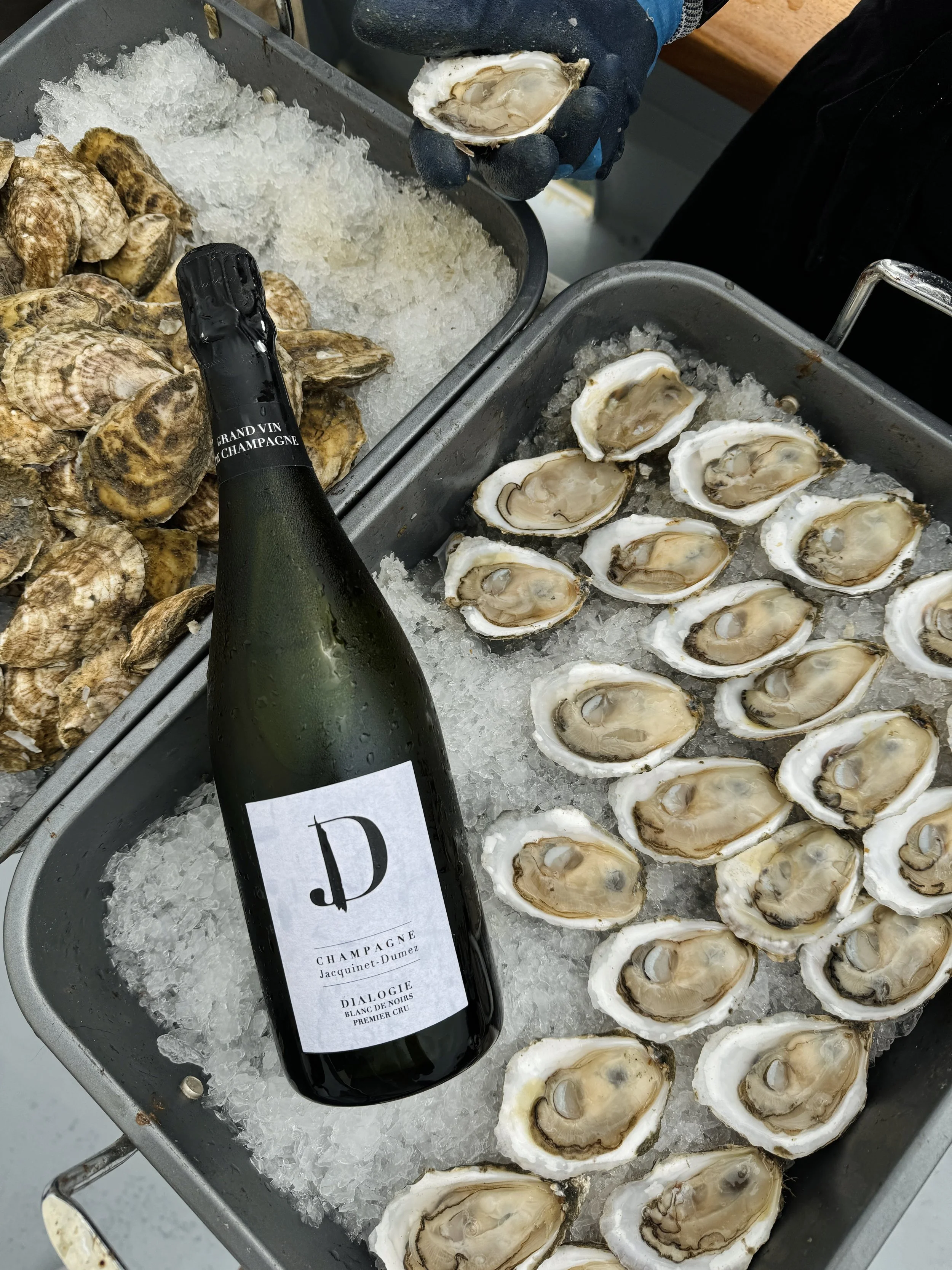 wine_wise_sail_portland_maine_2025_Oysters (5).JPG