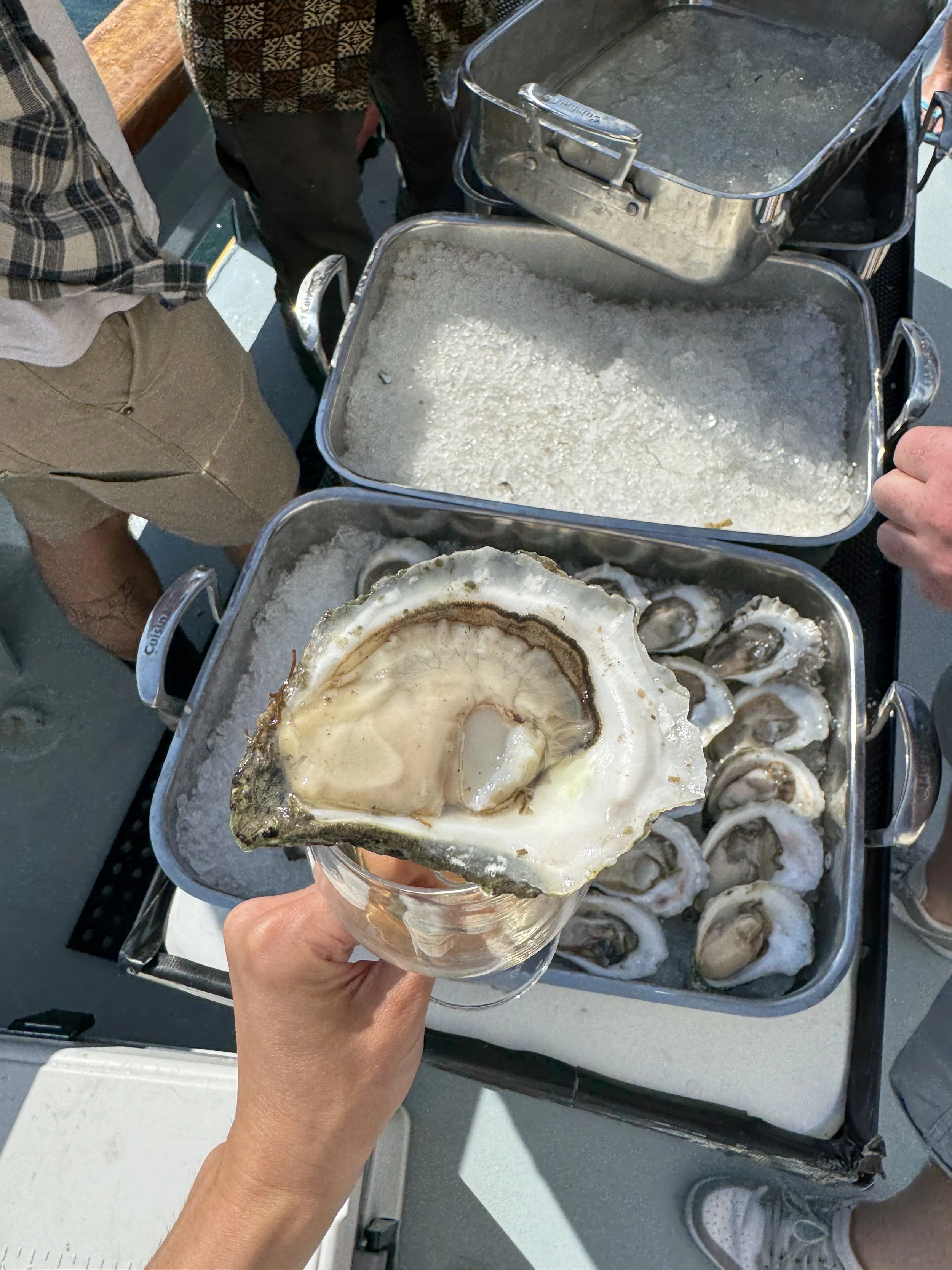Wine_Wise_Portland_Maine_Oyster_Sail_8497.JPG (Copy) (Copy)