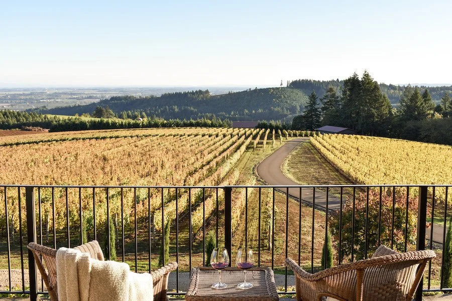 BWIV-Balcony-VistaWine_Wise_Trips_Willamette_Valley_2025.jpg
