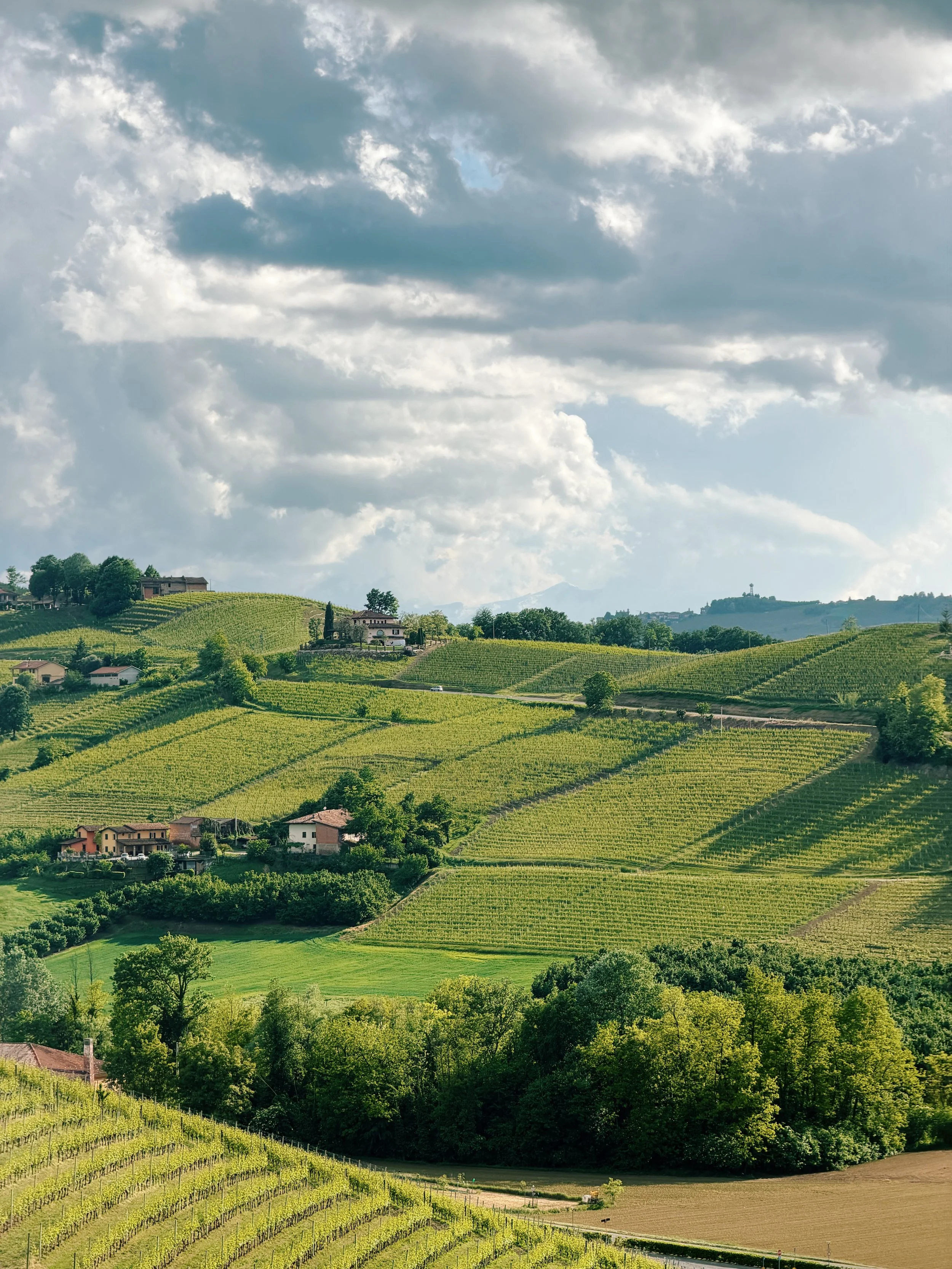 Wine_Wise_Trips_Piedmont_Barolo_1.JPG
