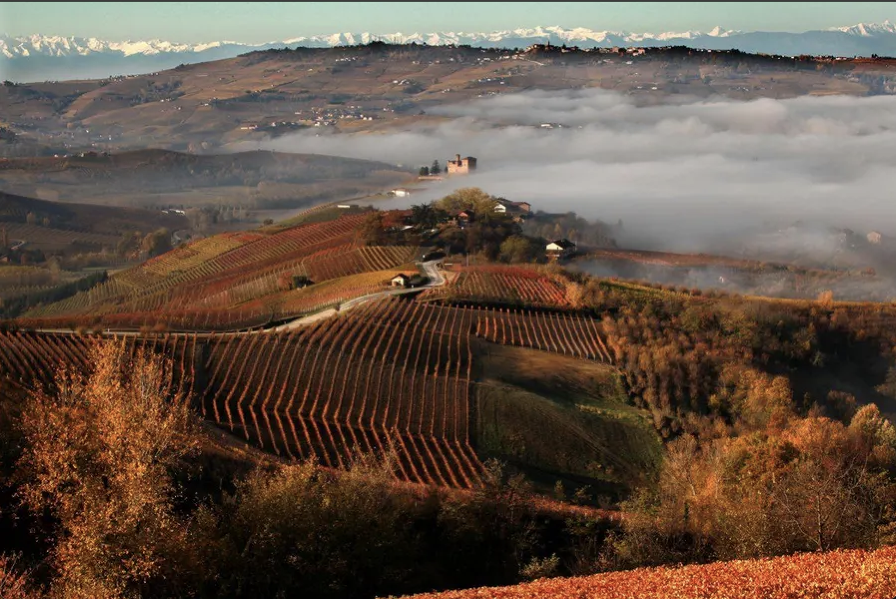 Small Group Trip to Piedmont + Lake Garda, Italy