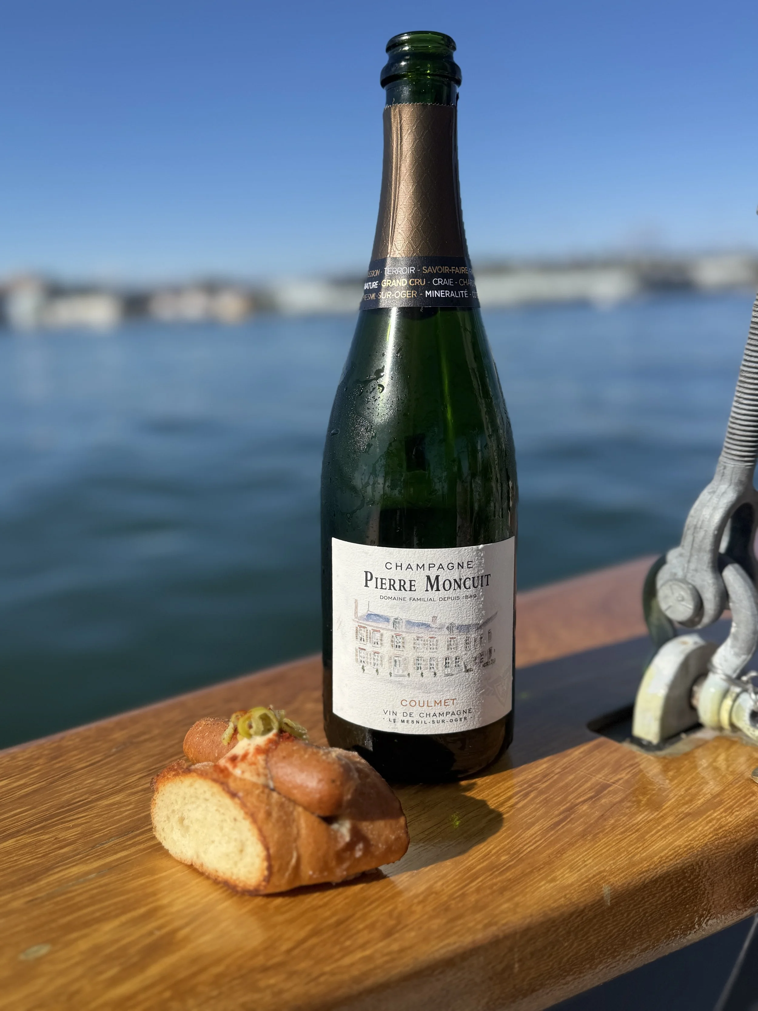 Wine_Wise_Portland_Maine_Chef_Series_Wine_Food_Sail_Chef_Sansonetti_Chaval_Lobster_09272025_39.jpg