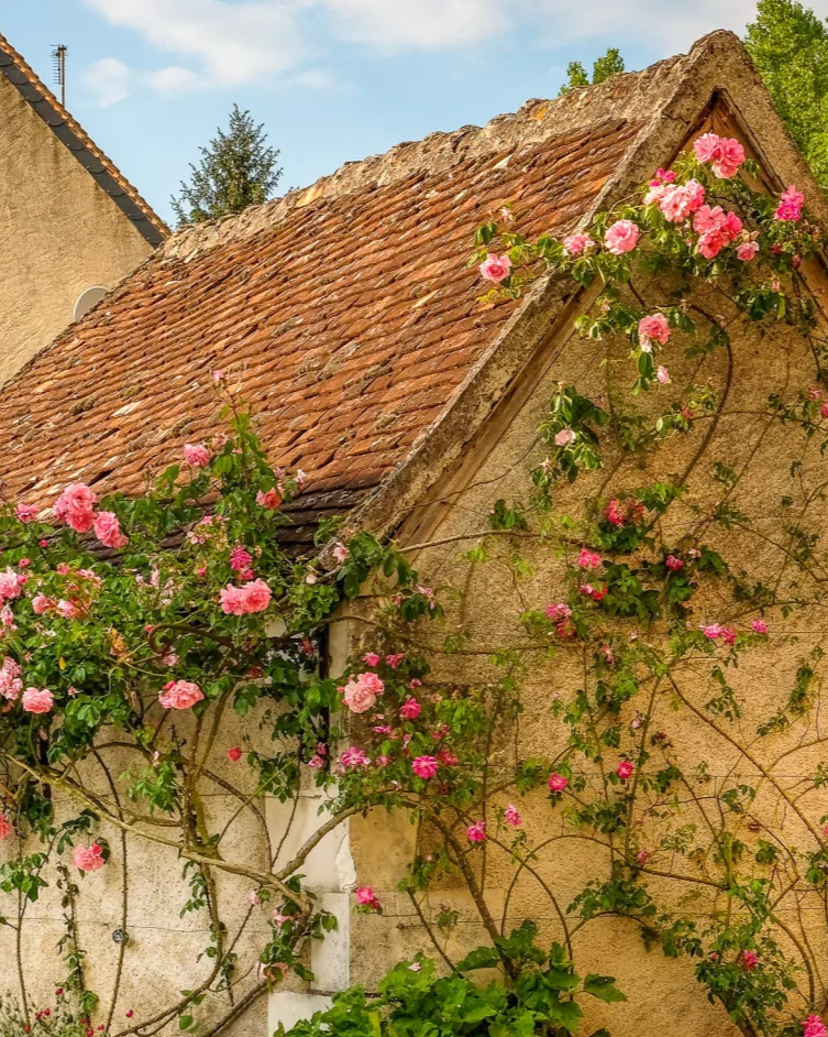 Loire_house_flowers.png