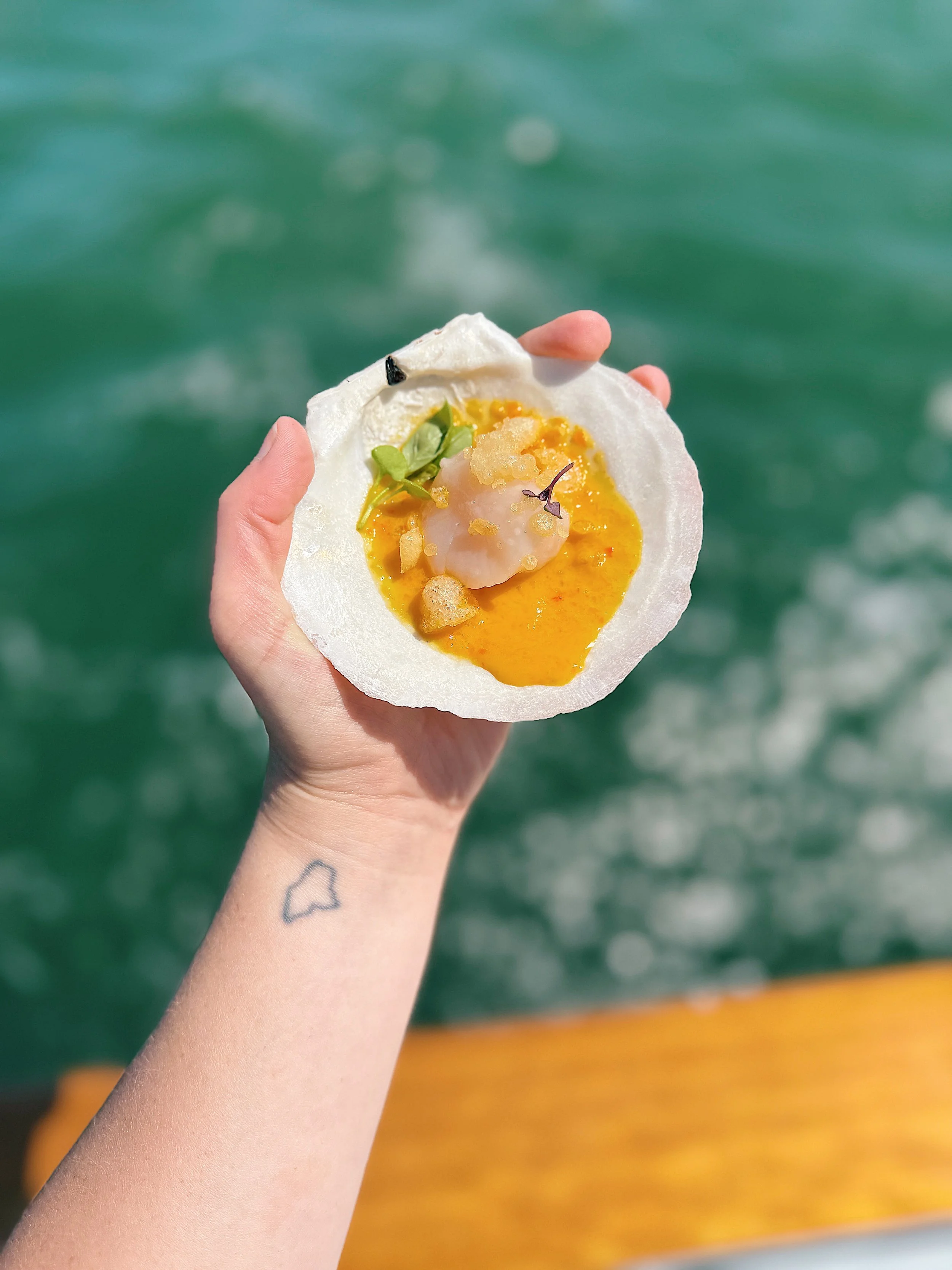 Wine_Wise_Portland_Maine_Sail_Raw_Bar_scallop.JPG