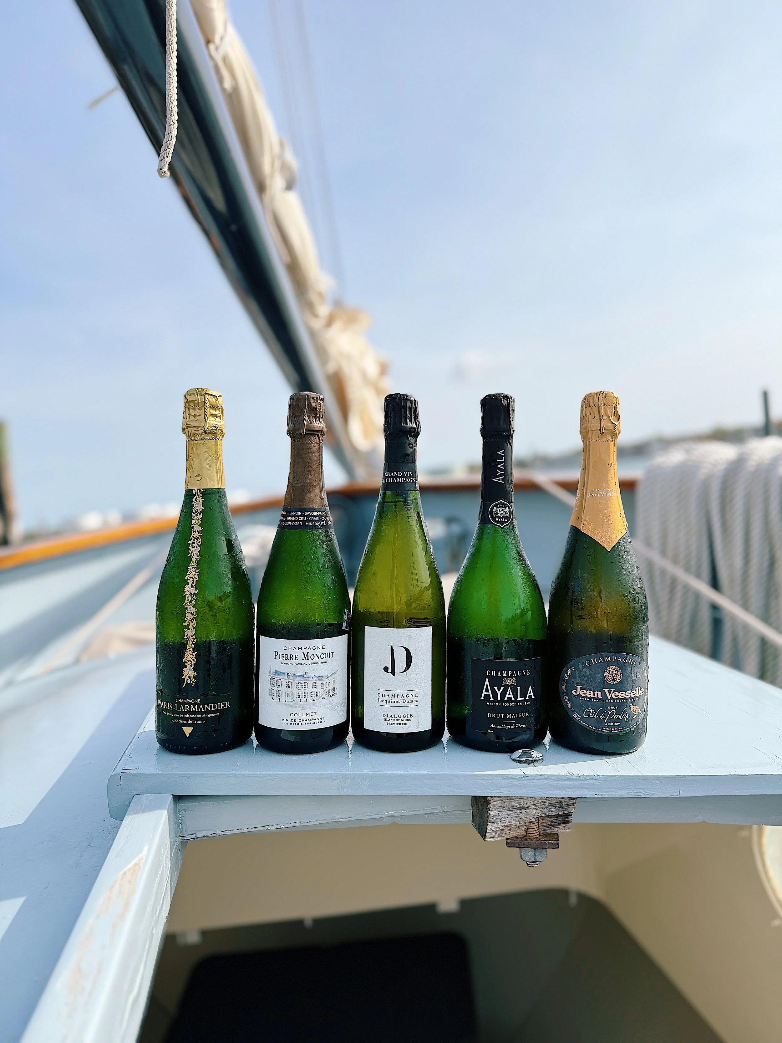 Wine_Wise_Portland_Maine_Champagne_Oysters_Sail_10192025_F3B15663.jpg (Copy) (Copy)
