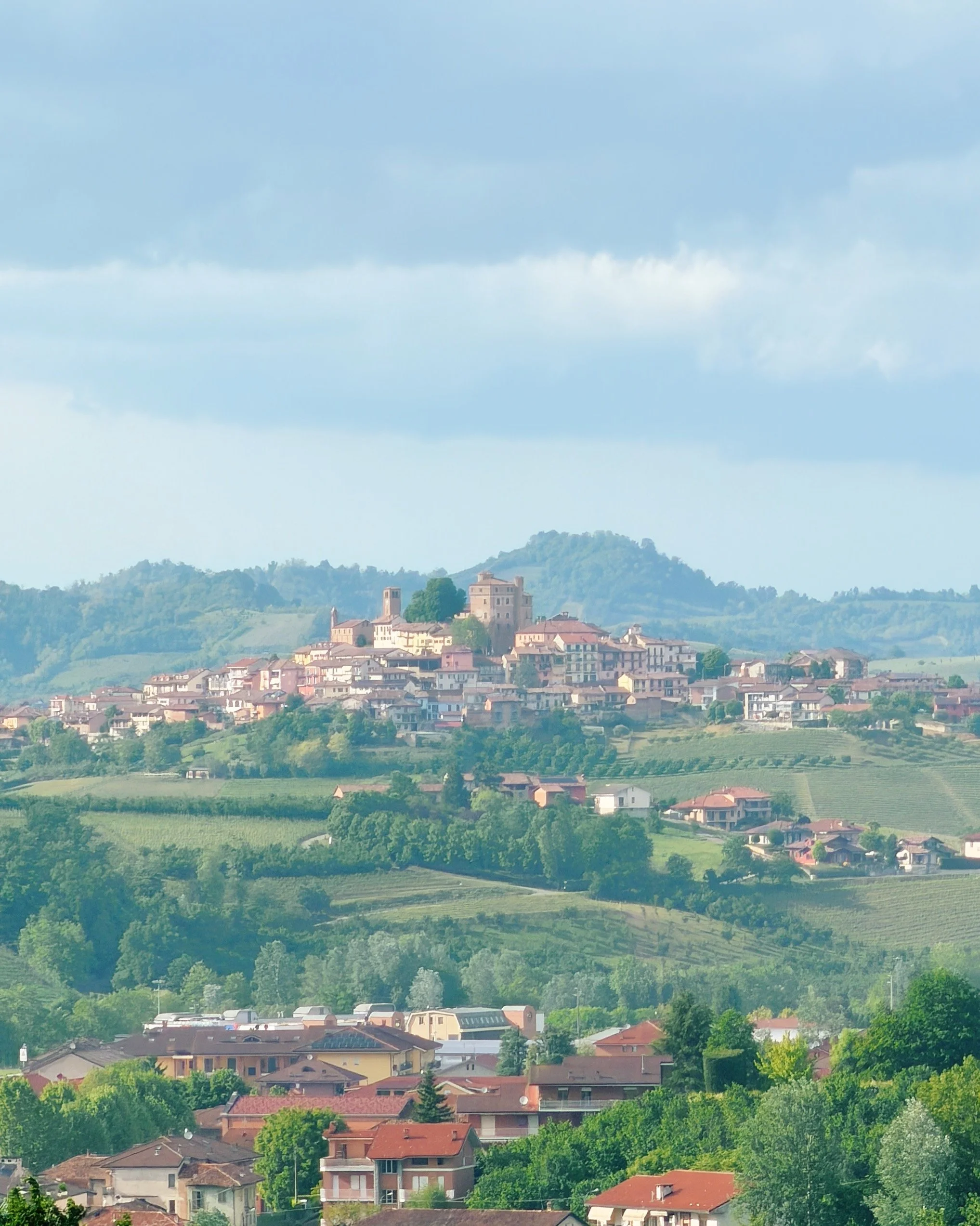 Wine_Wise_Trips_Piedmont_Barolo_.JPG