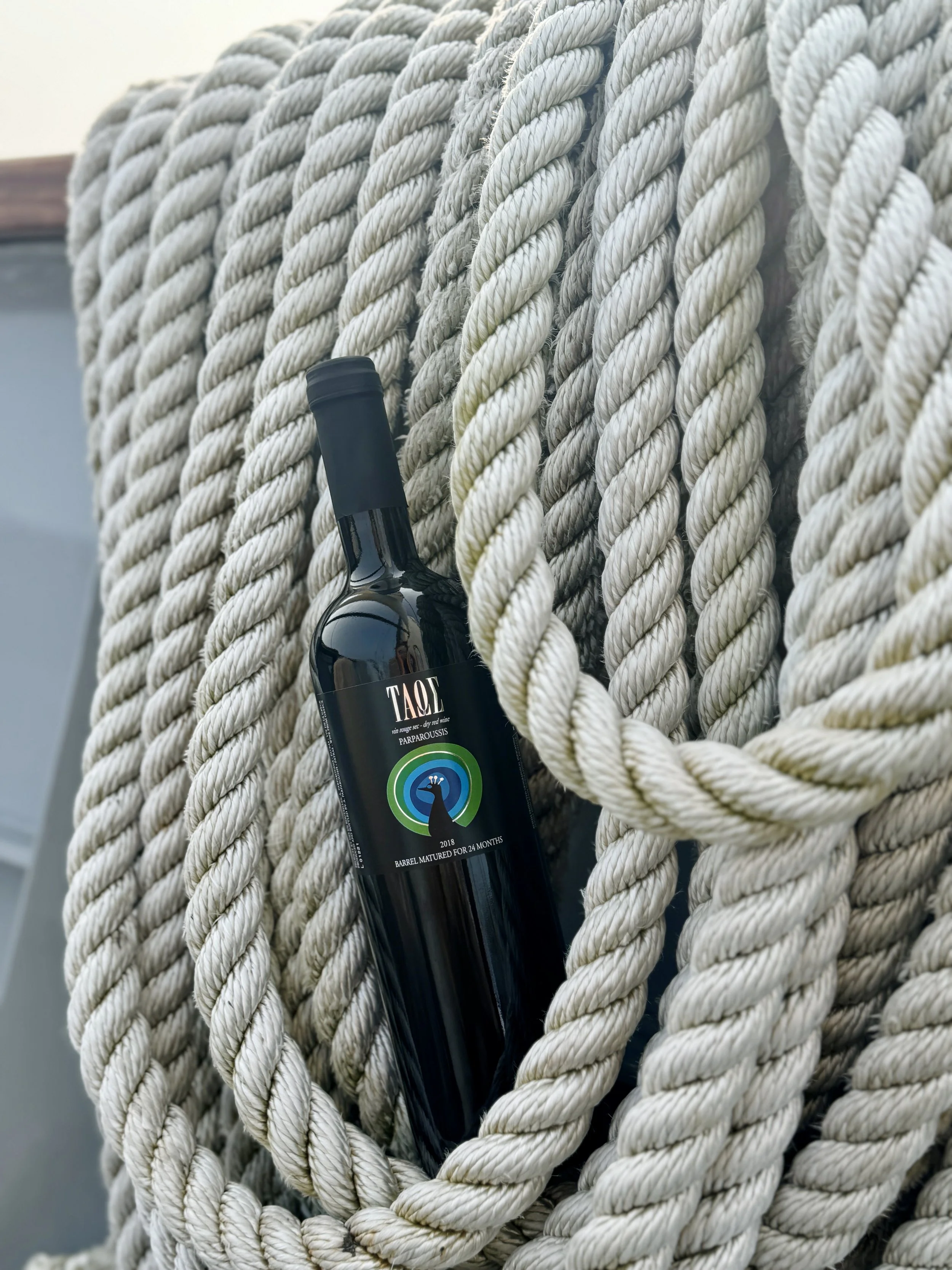 wine_wise_sail_portland_maine_2025_greece_taos.JPG