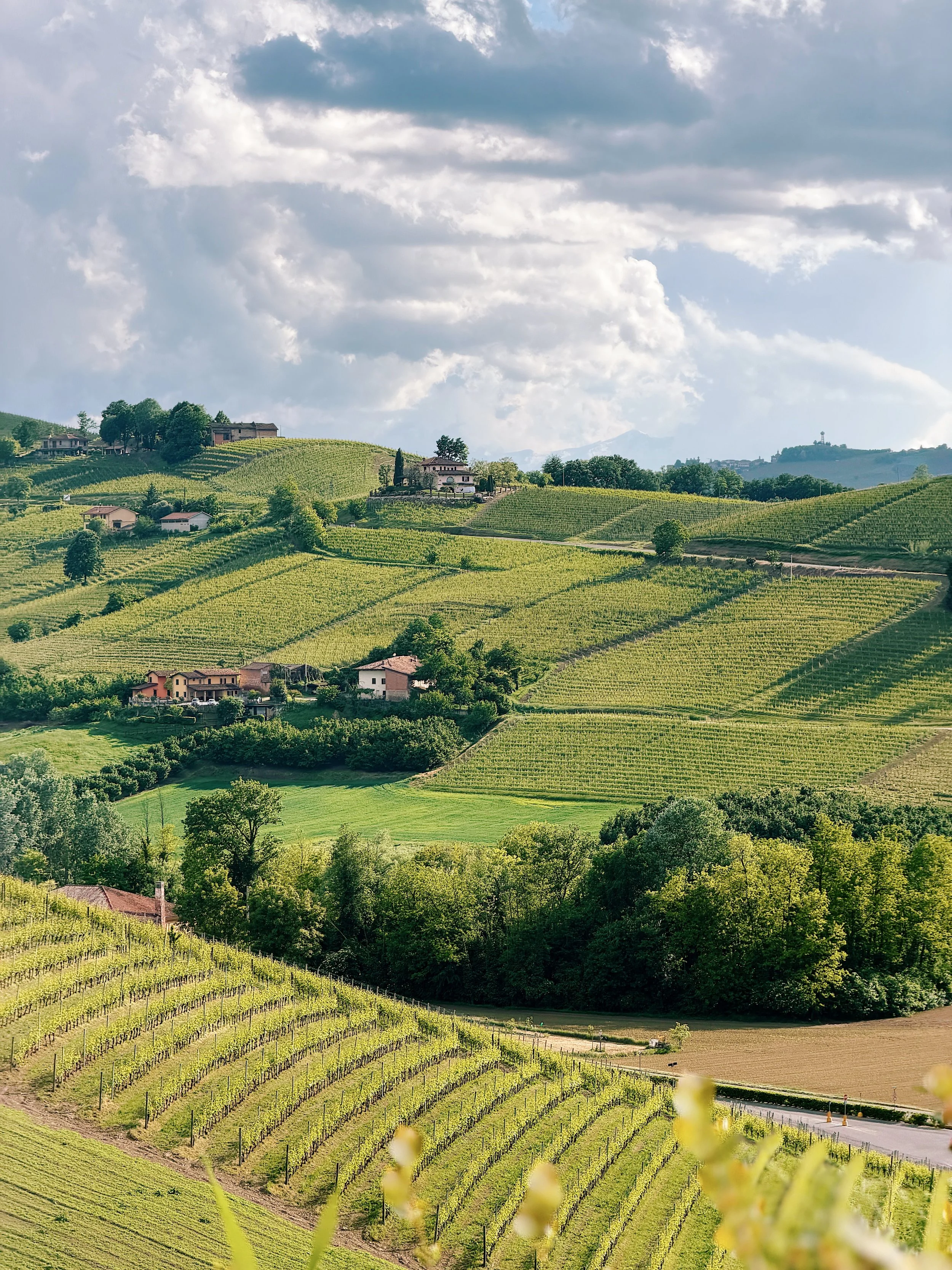 Wine_Wise_Trips_Piedmont_Barolo_3.JPG