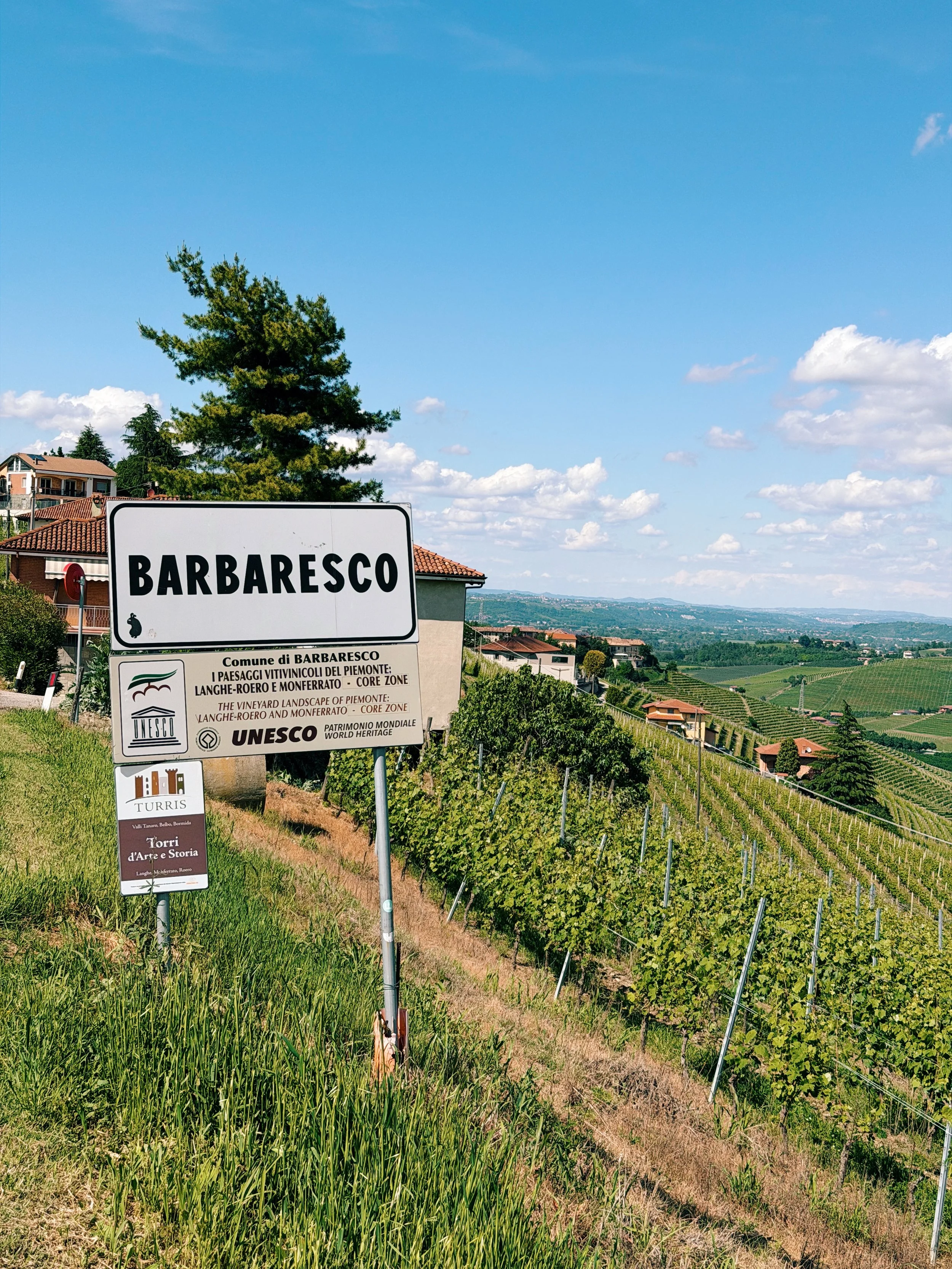 Wine Wise Trips