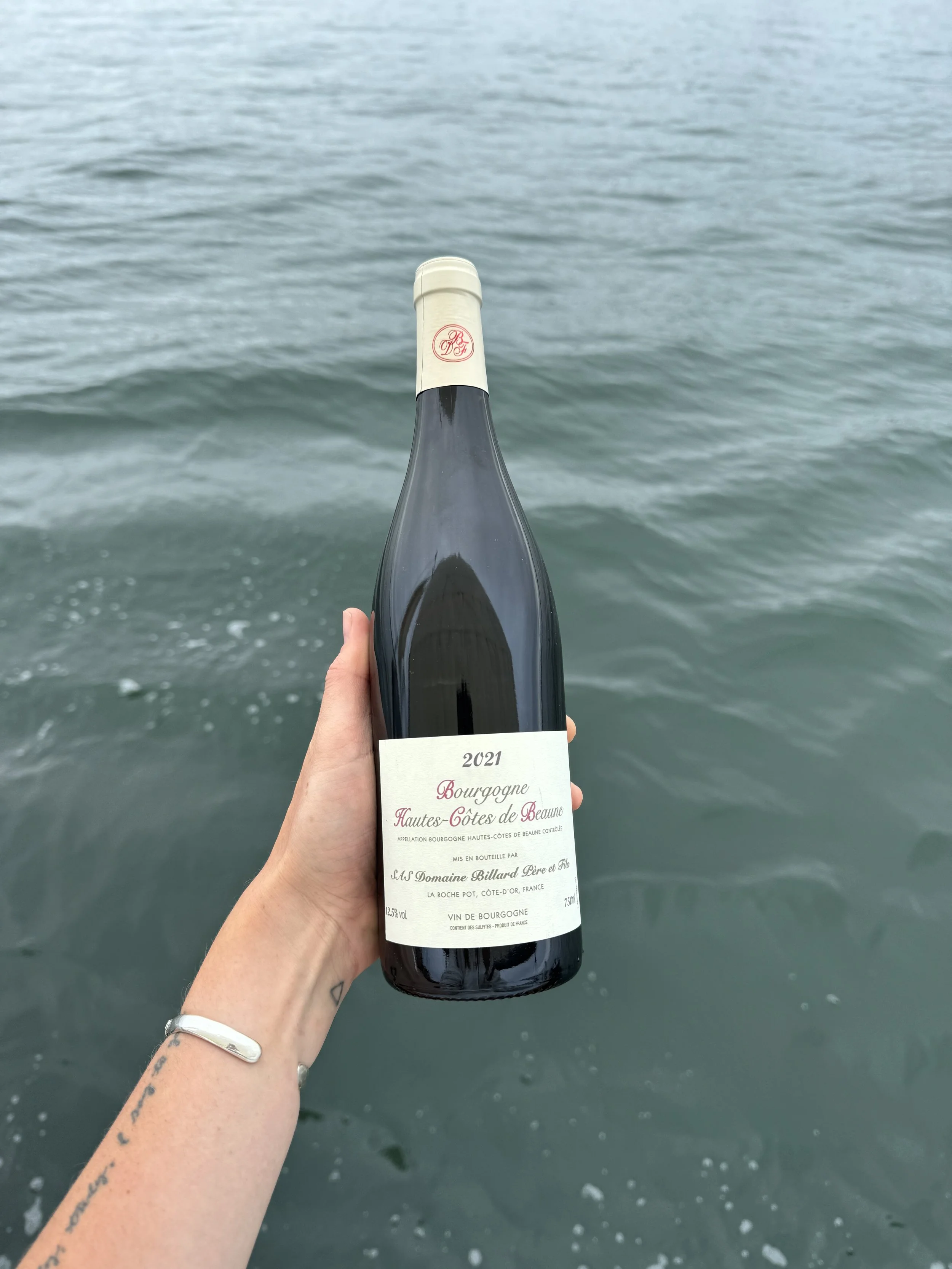 wine_wise_sails_portland_maine_france_burgundy_pinot_noir.JPG