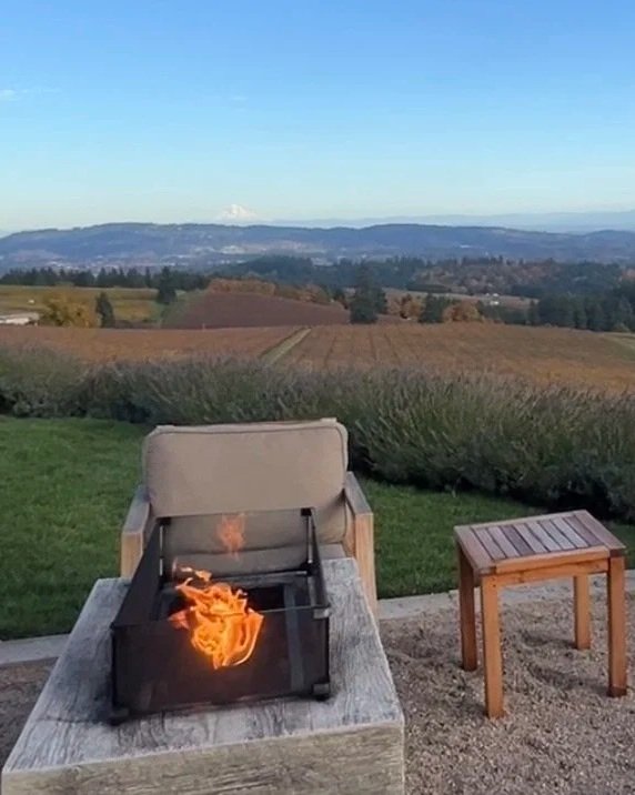 IMG_3770Wine_Wise_Trips_Willamette_Valley_2025.jpg