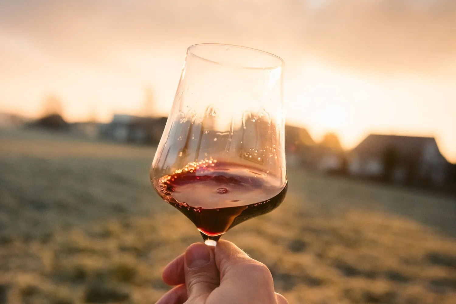 Wine_Wise_Events_Trips_wine_oregon_vineyard_harvest_.JPG