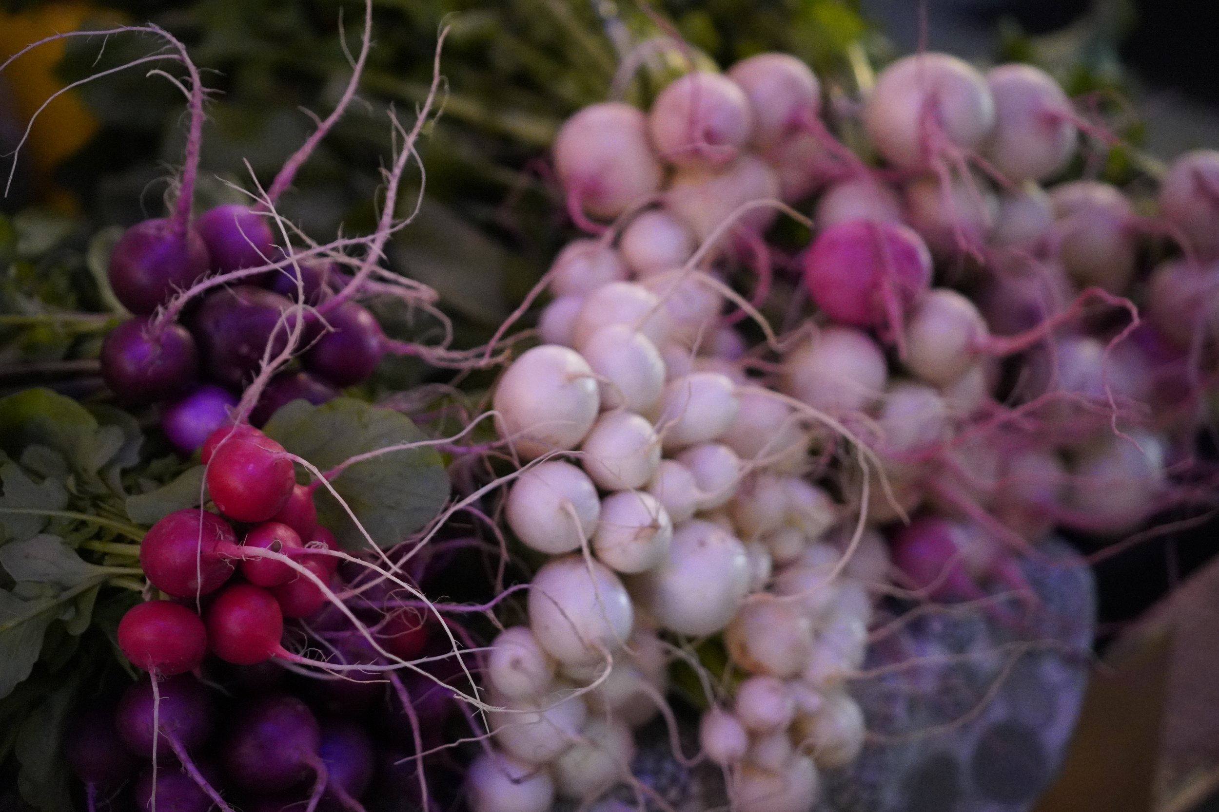 1.12.2026 - At the Market Tonight