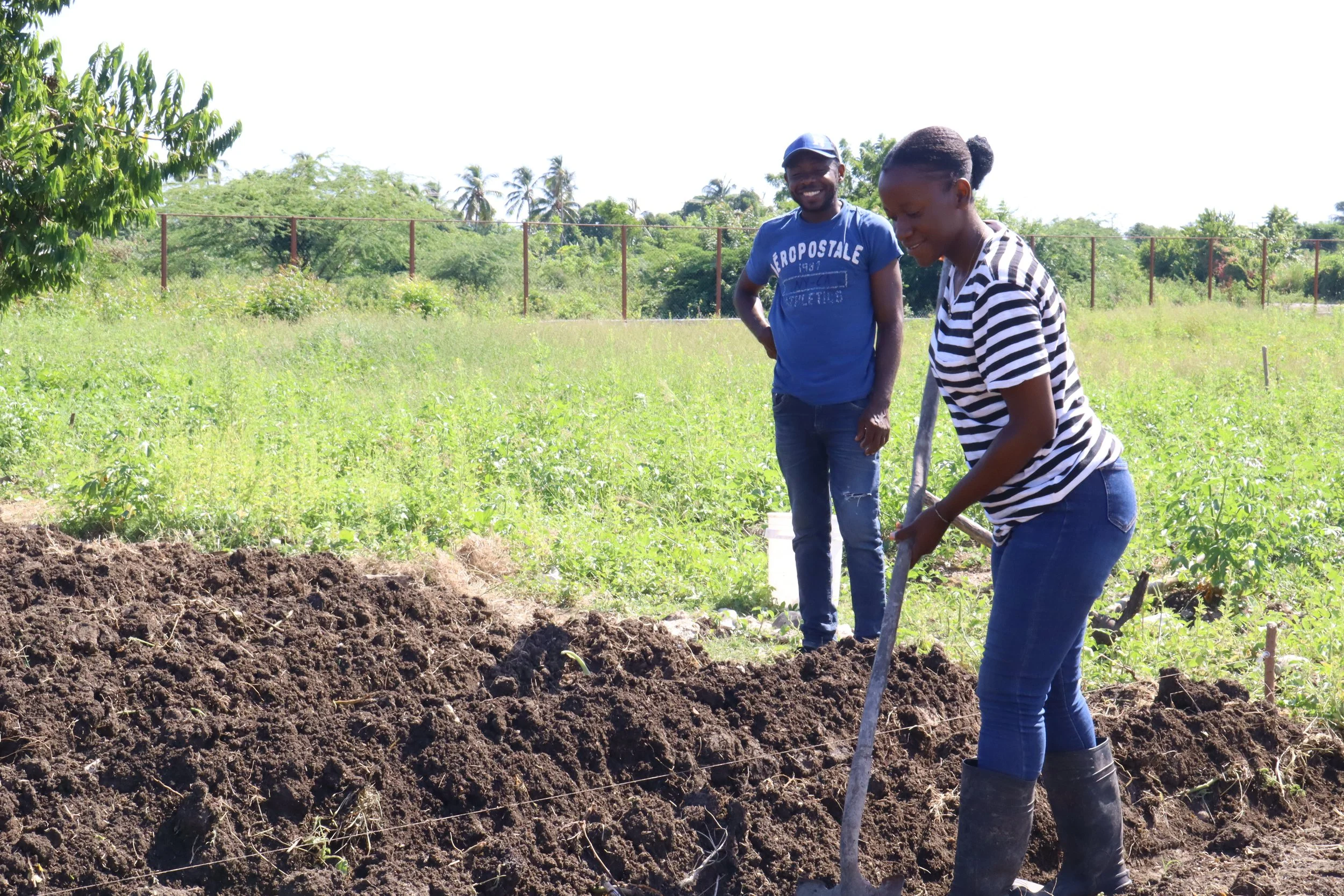 Hunger in Petit Trou: A Local Report