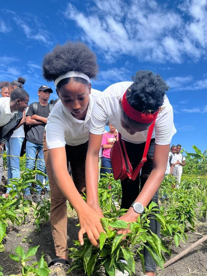 Reinforcing Nutrition &amp; Cultivating Connection