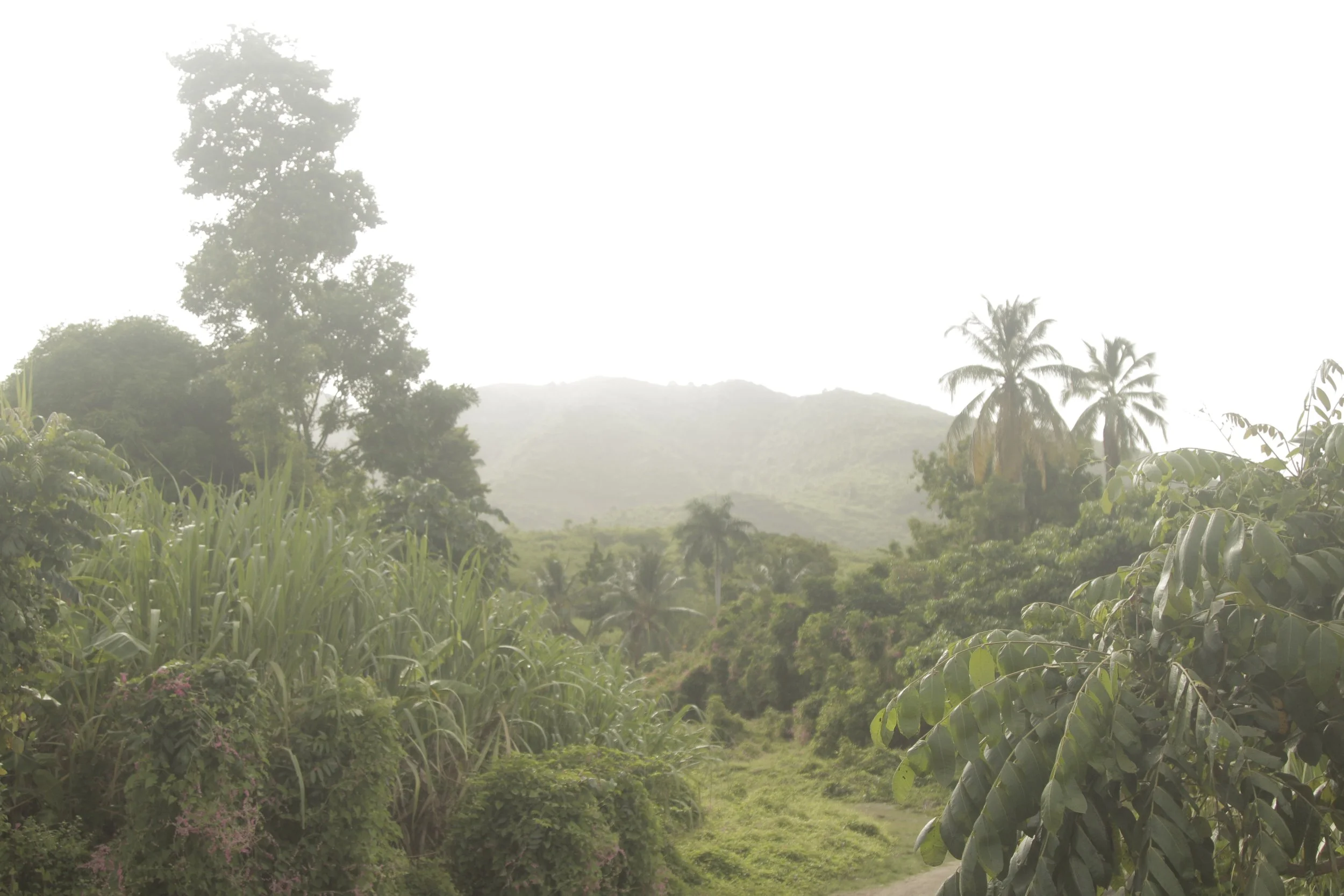 Op-Ed // The view from rural Haiti