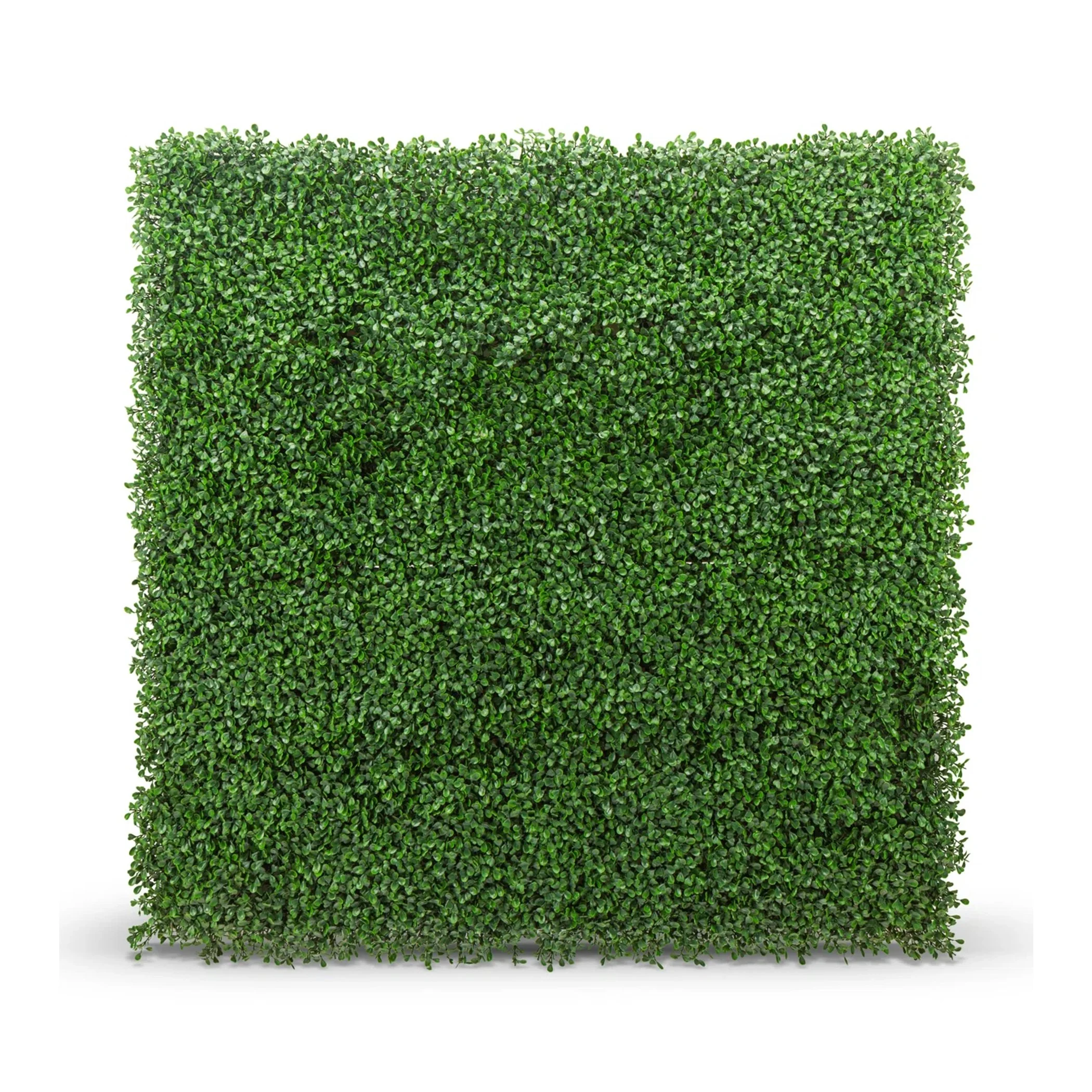 greenery wall .jpg