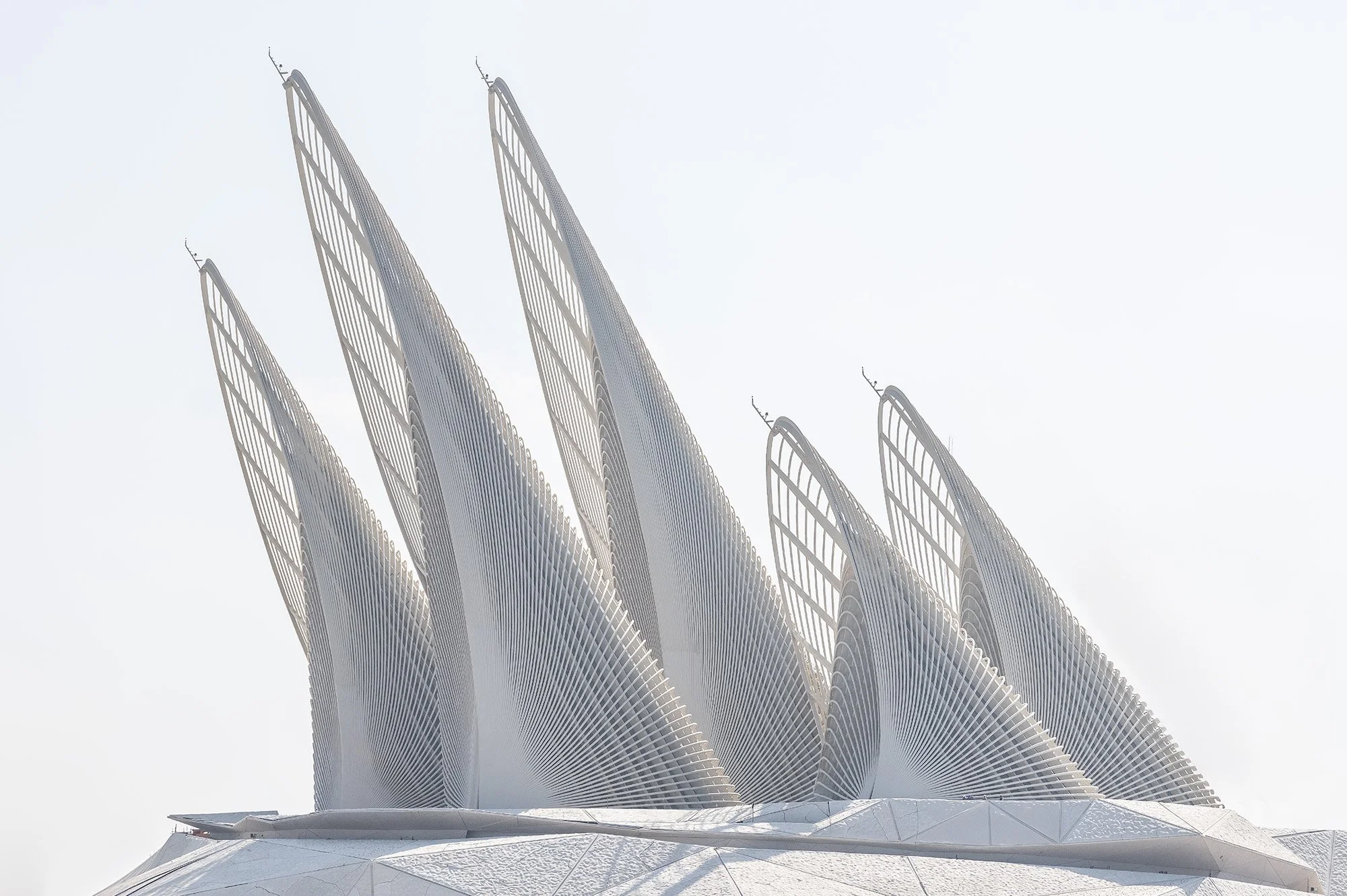 zayed national museum.jpg