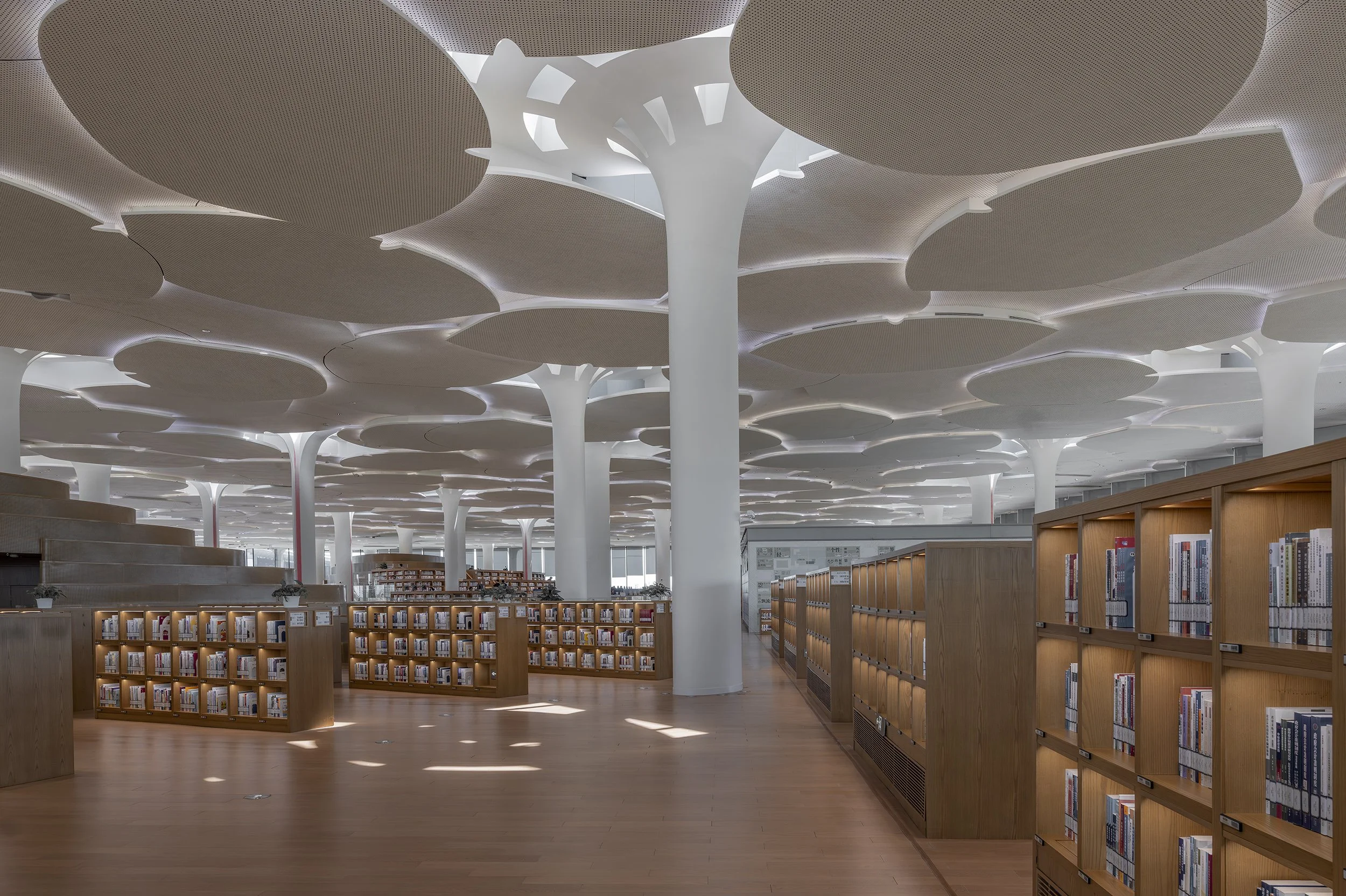 Beijing City library4a.jpg