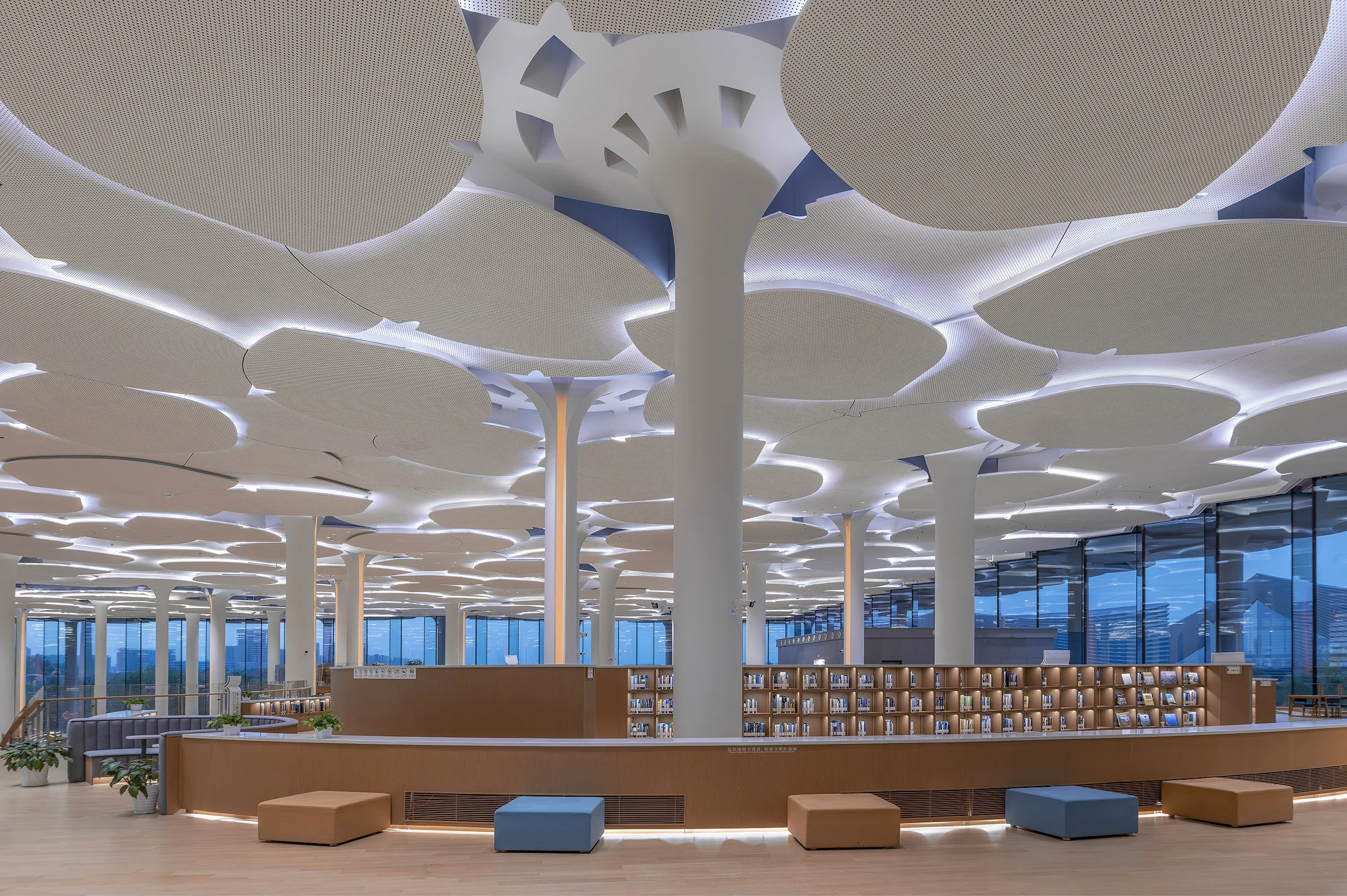 Beijing City library5a.jpg