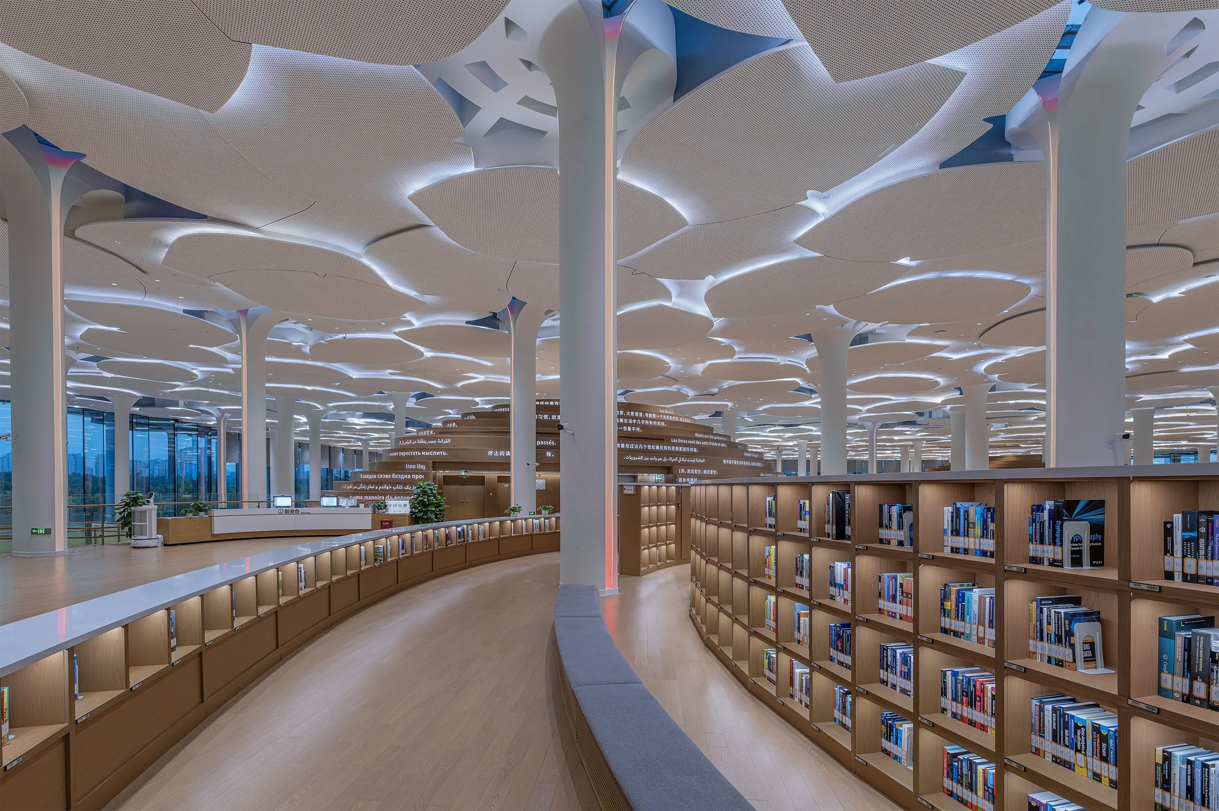 Beijing City library8.jpg