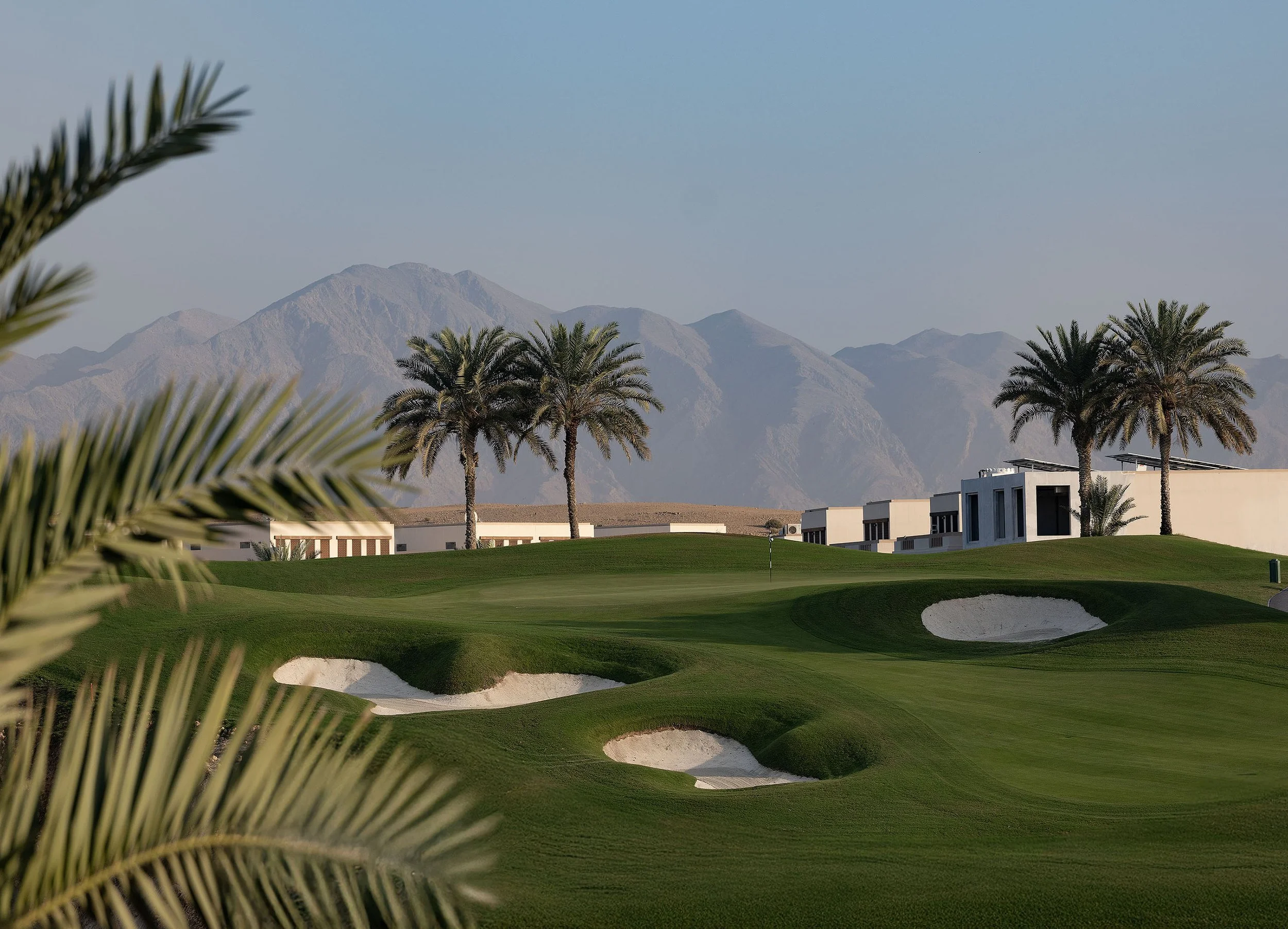 GOLF4.jpg