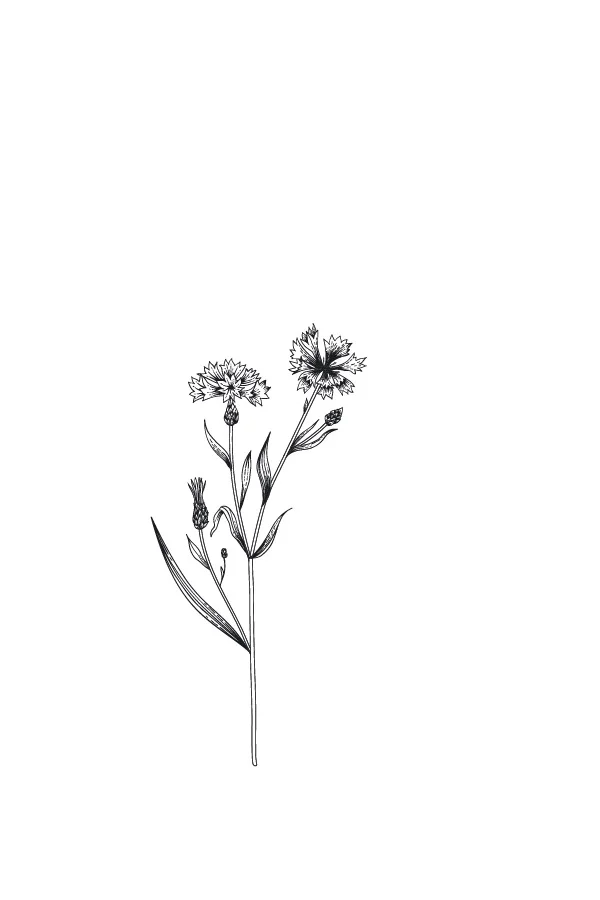 flores.jpg