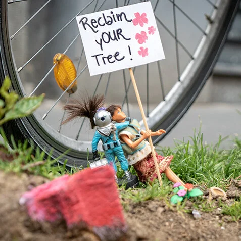 Values - Reclaim Tree.jpg