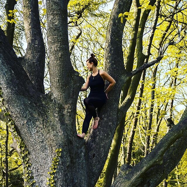 Hi, it&rsquo;s me, barefoot in a tree, casually fulfilling every insta yoga teacher stereotype going..(oh, &amp; wearing @sweatybetty 😂🙈) #Cliche
&bull;
&bull;
#TBT to this time last year on my yoga retreat with the most special guests, amongst thi