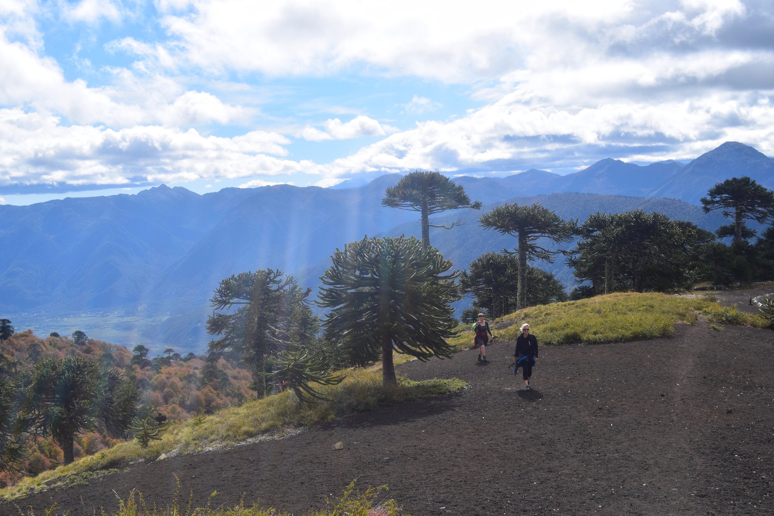 Adventure Travel Nevados de Sollipulli with Samadhi Eco Resort Chile