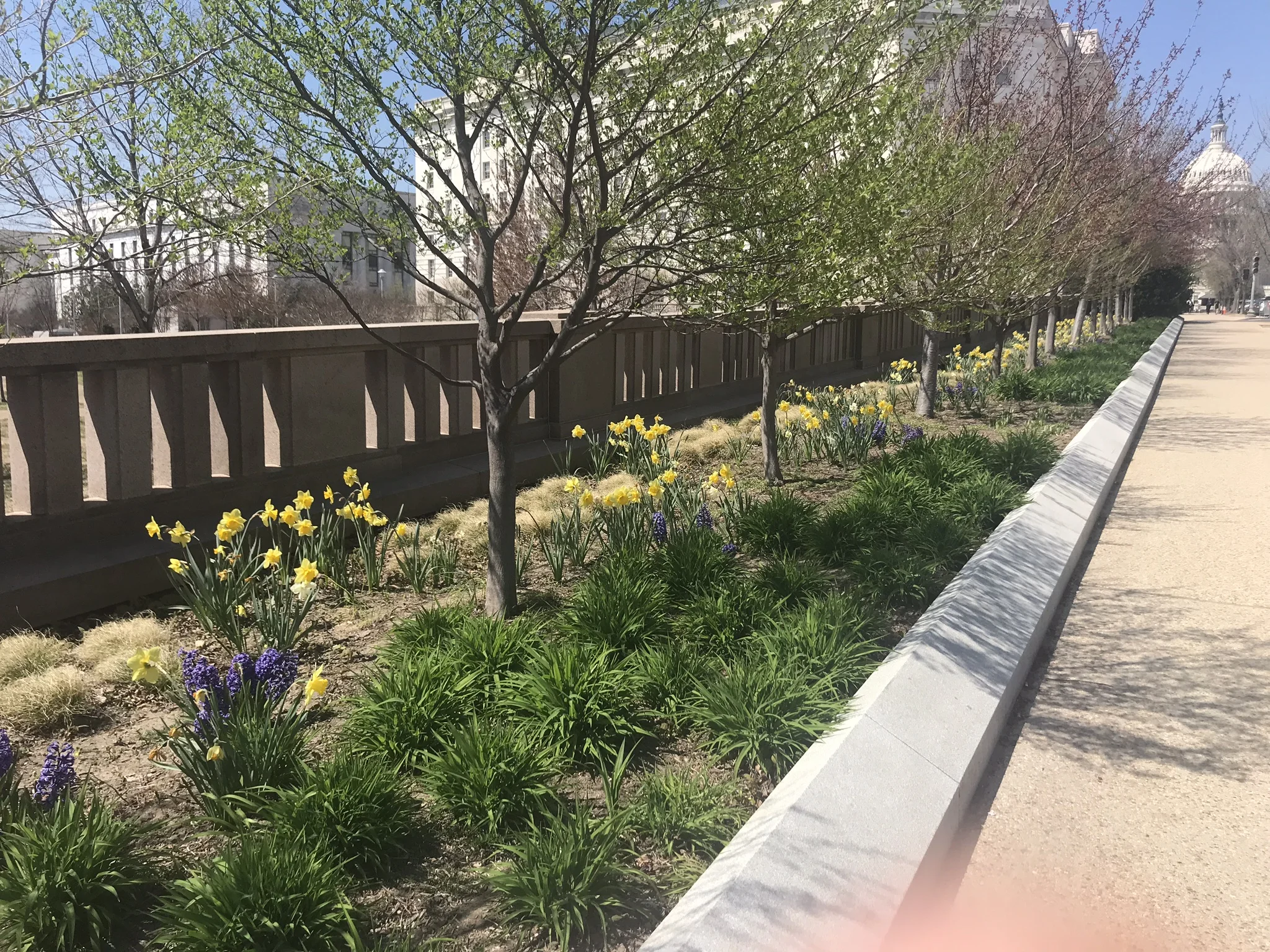 IMG_0236.JPEG