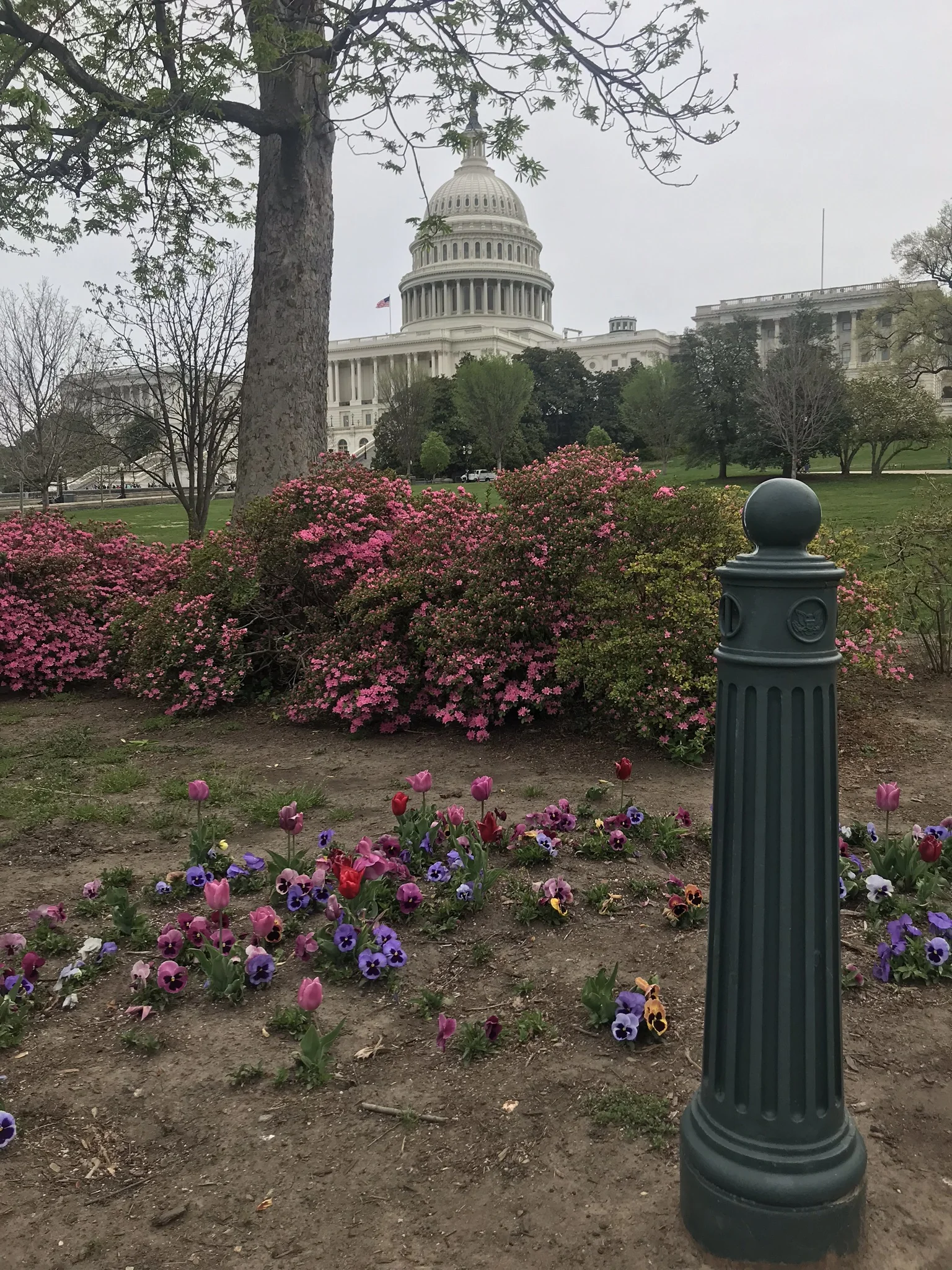 IMG_0478.JPEG