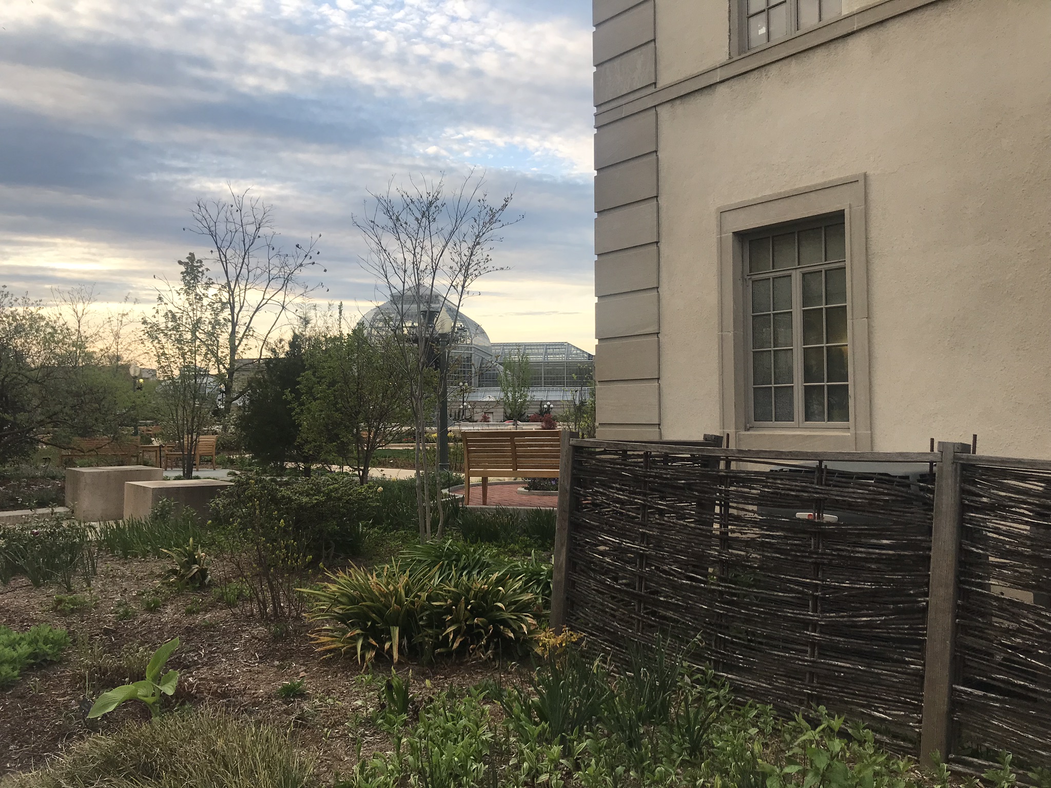 IMG_0521.JPEG