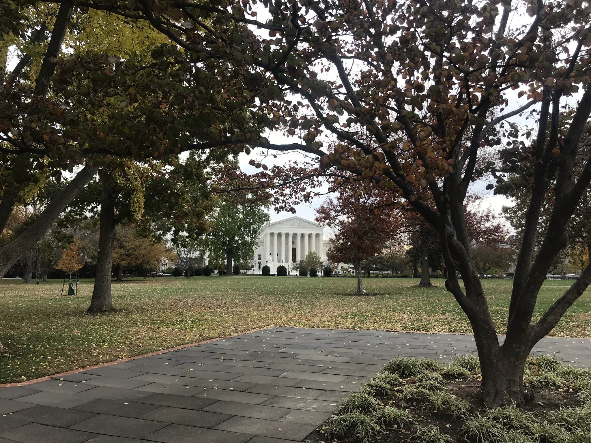 IMG_3203.JPEG
