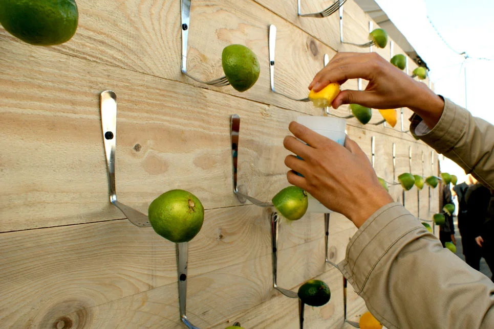 lemon-lime-food-wall-display.jpg