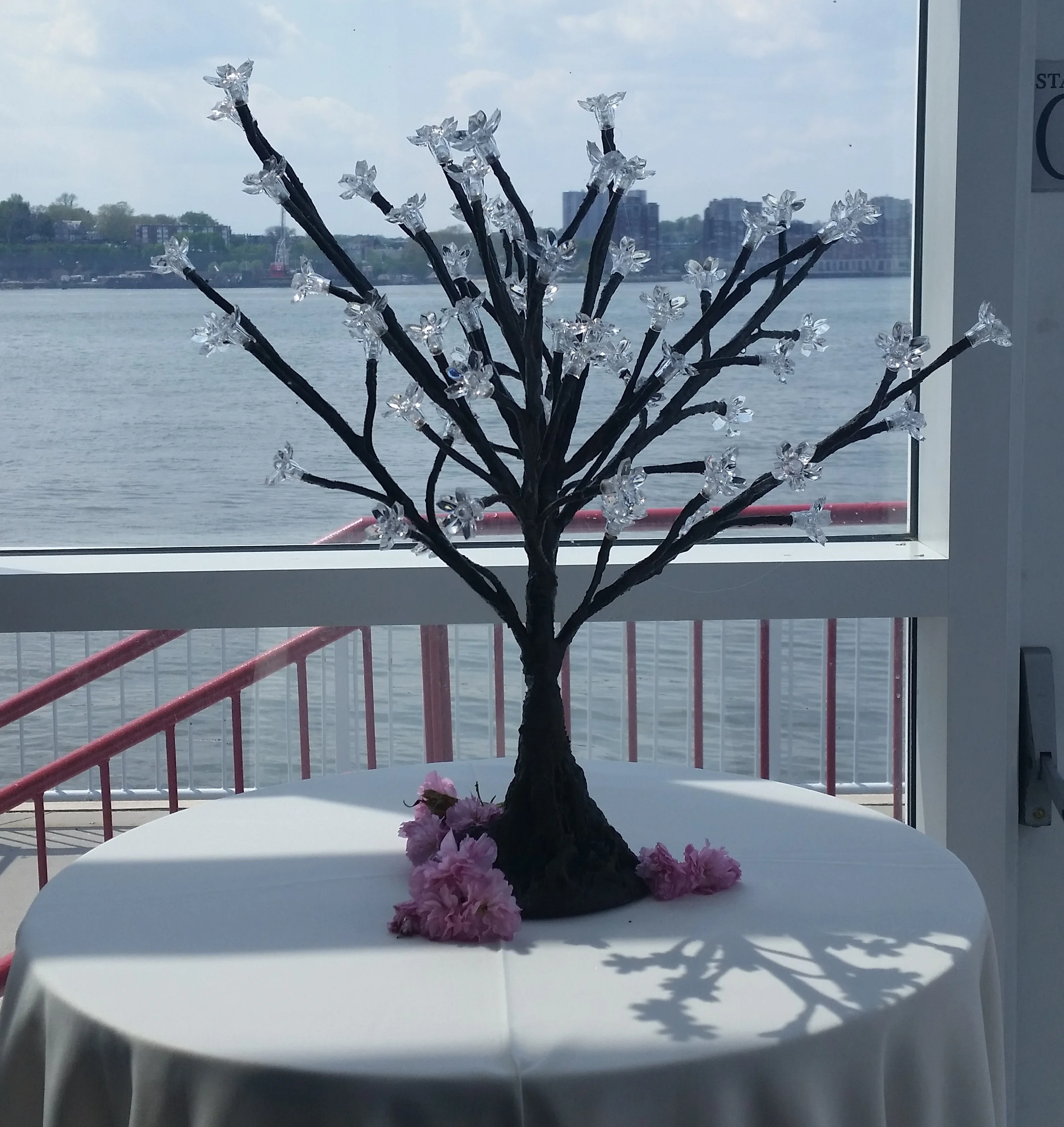 Small Tree.jpg
