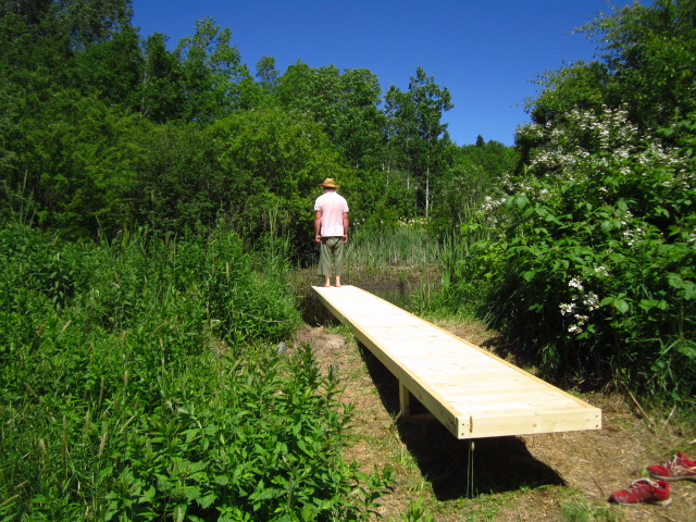    Walkway For Animals And People   .2017  .     Size undetermined. The pond was cleared and plants and lilies planted around the banking. The experiencer enters at the center point of a 50ft long cantilevered walkway. From there they can make their 