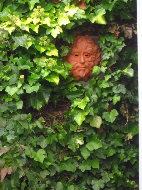   Green Man project Ongoing .  After researching the mythology surrounding the Green Man and its relationship to nature and folk law I decided a redesign was needed to bring it up to date to address current environmental issues. One belief being that