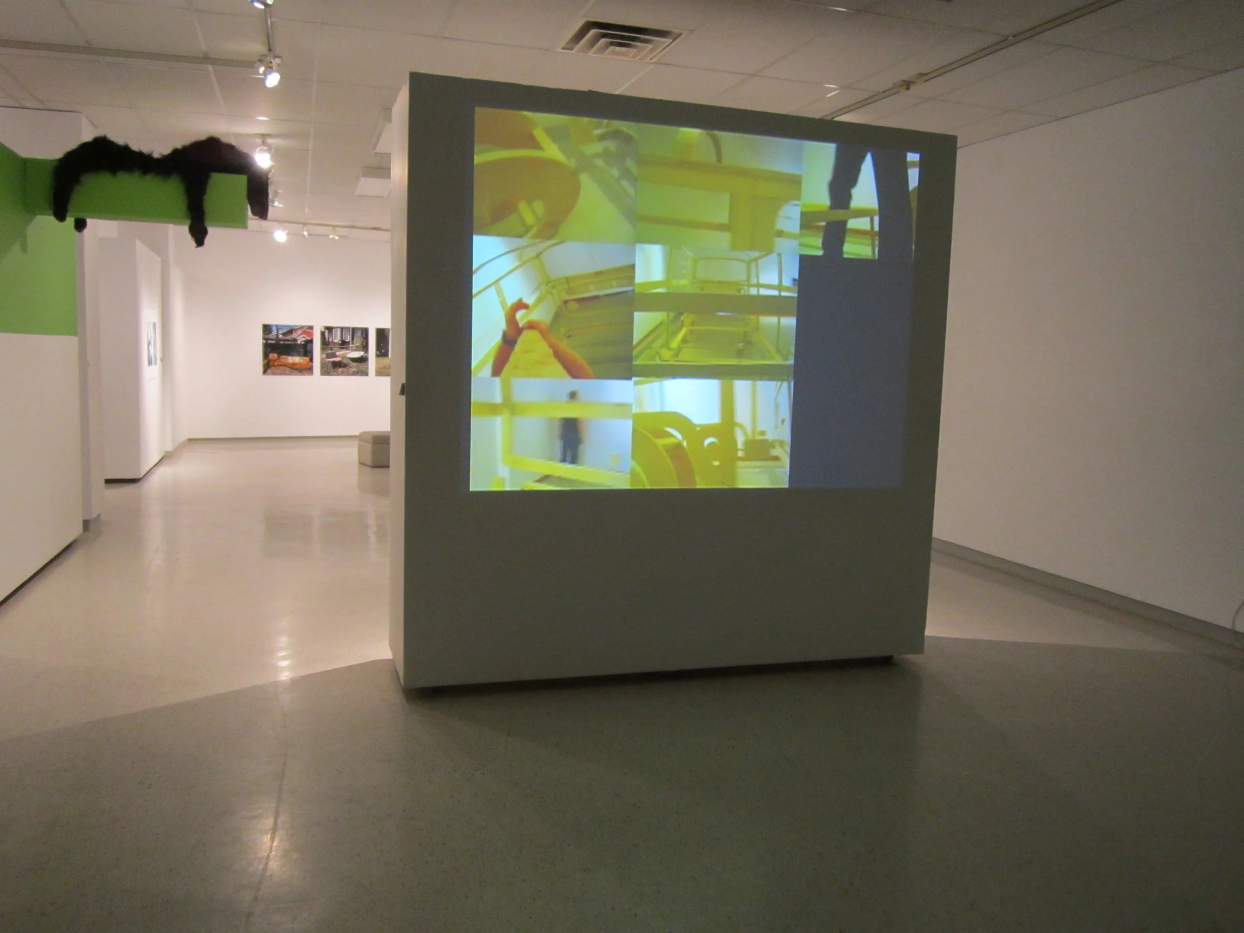  Seven Vans and Cristoph 