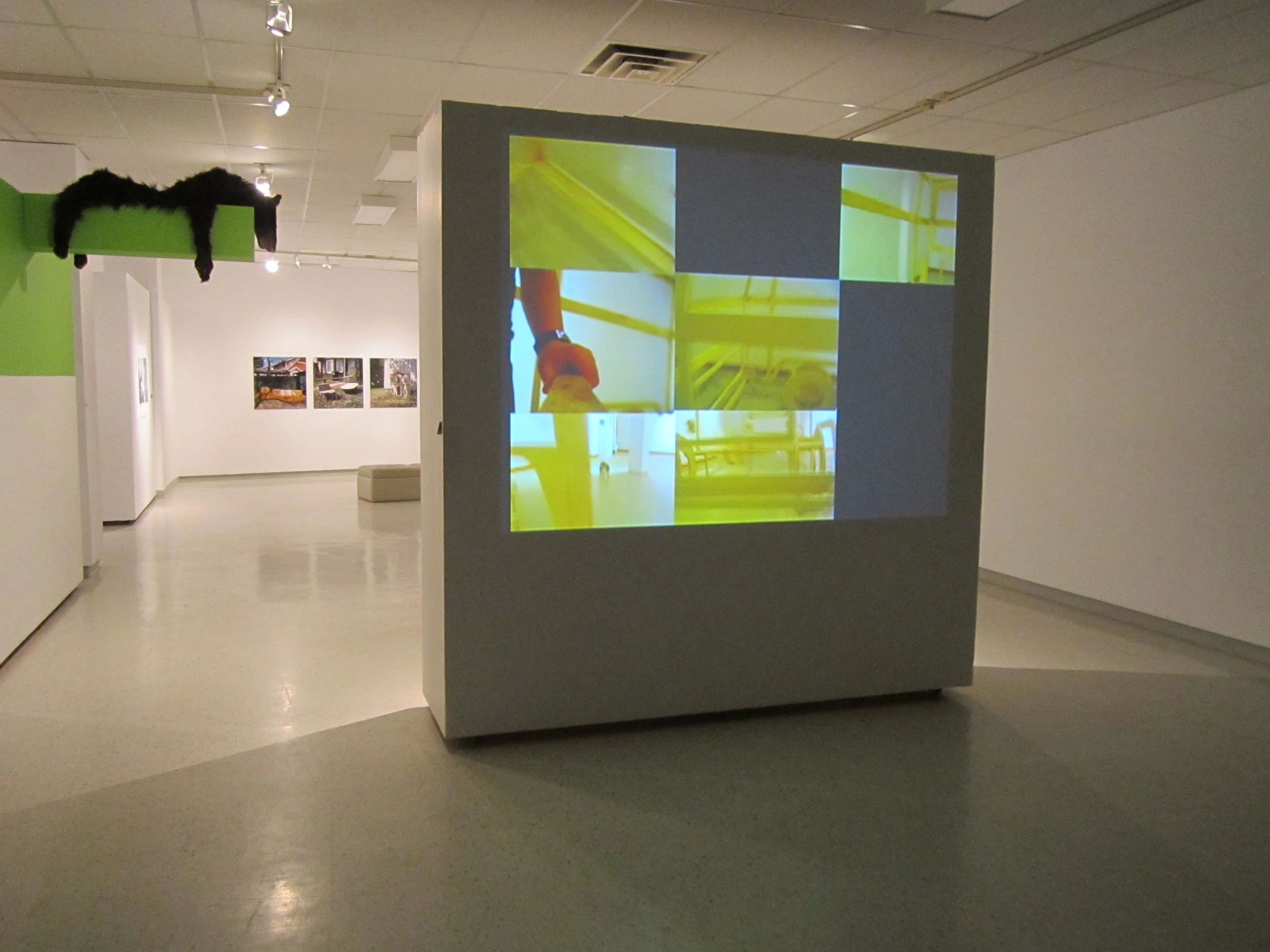  Seven Vans and Cristoph 