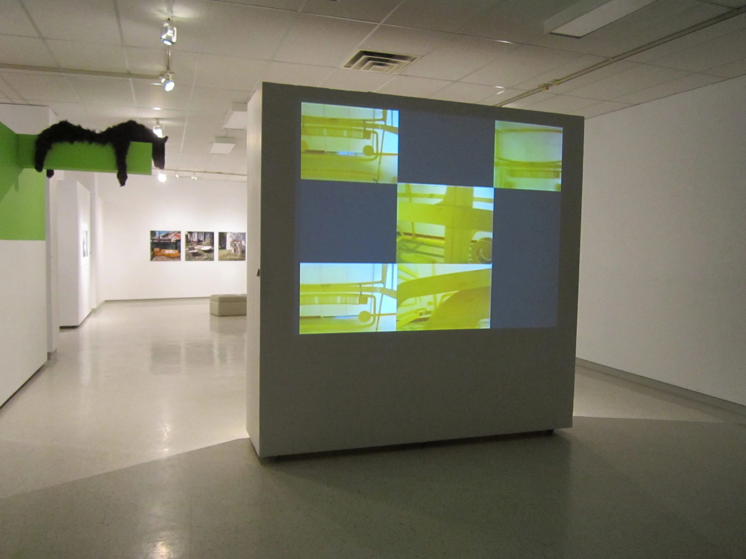  Seven Vans and Cristoph 